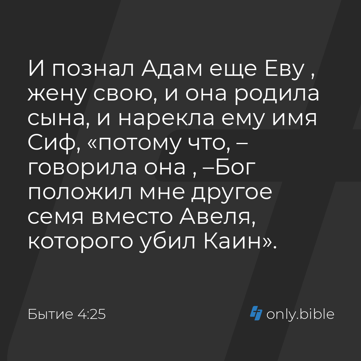 Бытие 4:25 / Русский синодальный перевод (Юбилейное издание) | Библия Онлайн