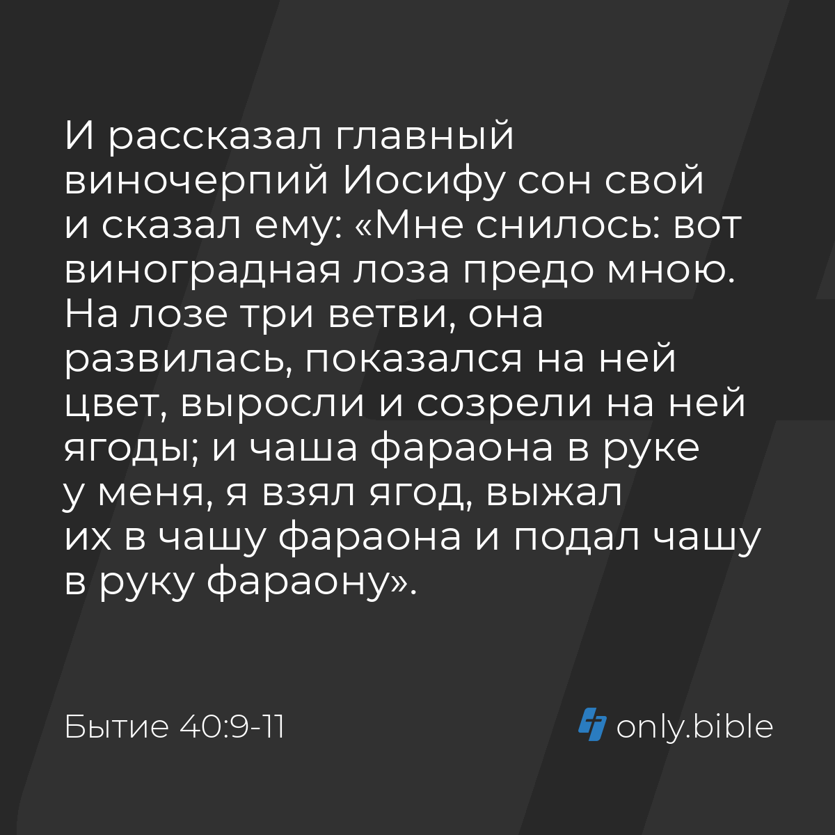 Бытие 40:9-11 / Русский синодальный перевод (Юбилейное издание) | Библия  Онлайн