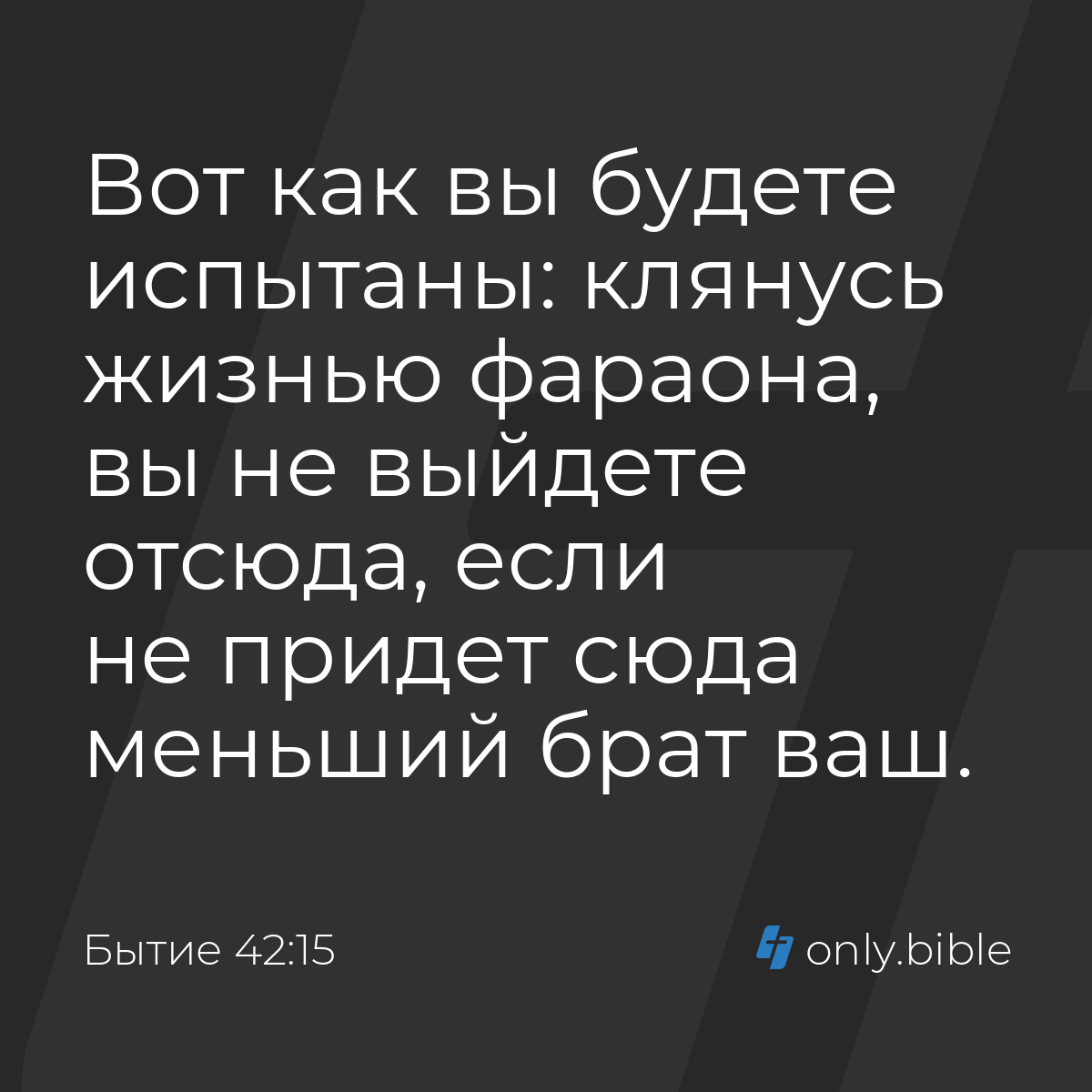 Бытие 42:15 / Русский синодальный перевод (Юбилейное издание) | Библия  Онлайн