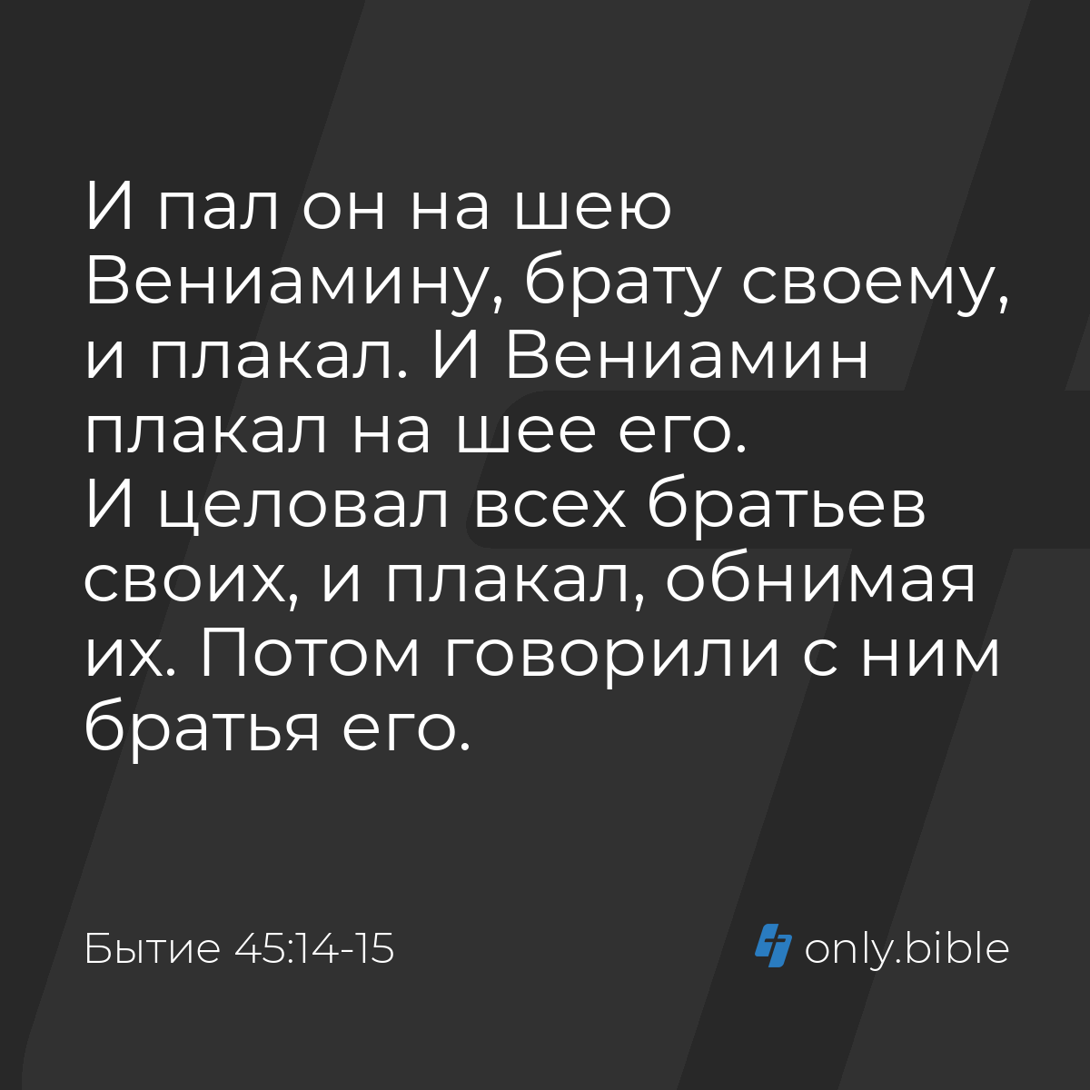 Бытие 45:14-15 / Русский синодальный перевод (Юбилейное издание) | Библия  Онлайн