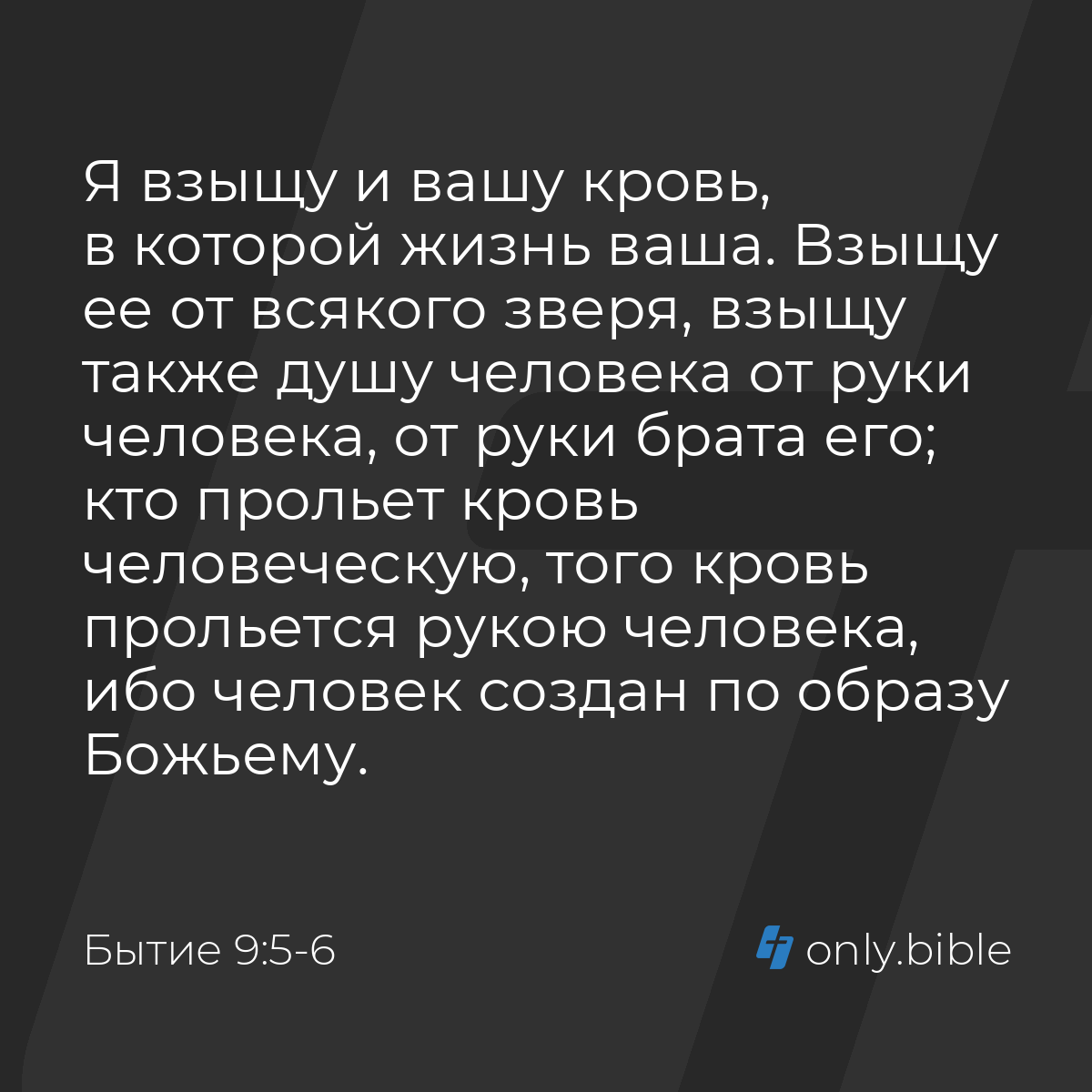 Украиналық әйел онлайн трахния алады (порно)