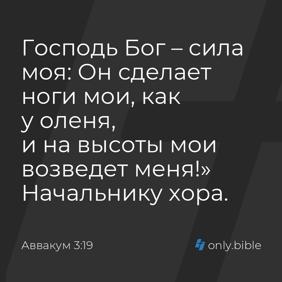 Аввакум 3:19 / Русский синодальный перевод (Юбилейное издание) | Библия  Онлайн