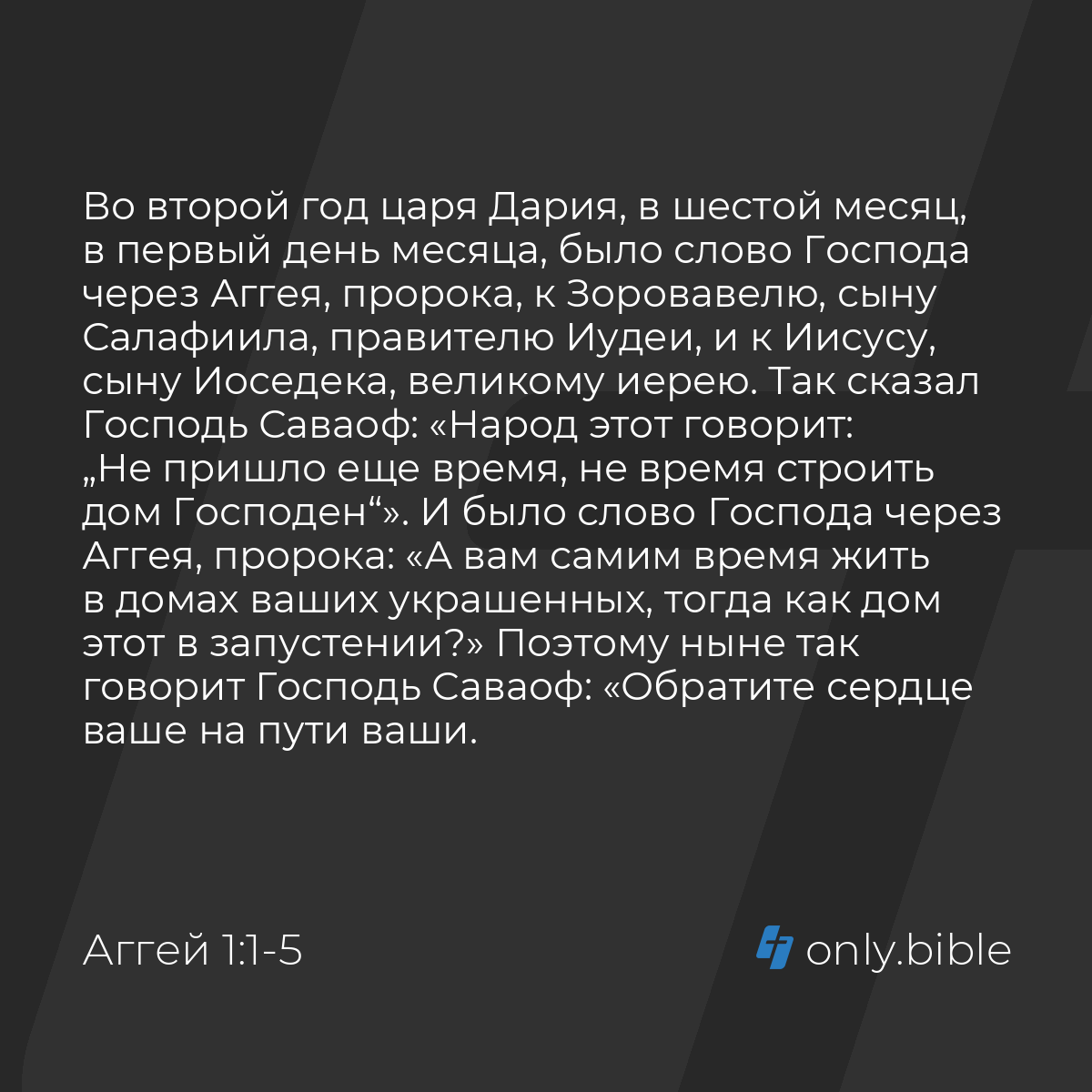 Аггей 1:1-11 / Русский синодальный перевод (Юбилейное издание) | Библия  Онлайн