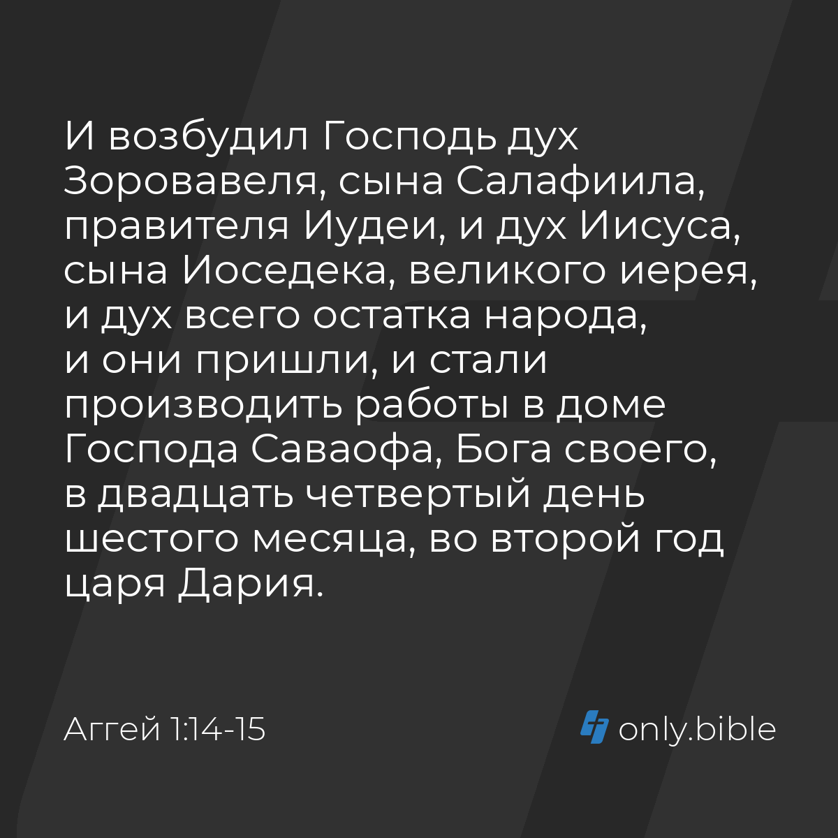 Аггей 1:14-15 / Русский синодальный перевод (Юбилейное издание) | Библия  Онлайн