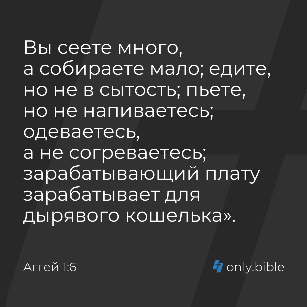 Аггей 1:6 / Русский синодальный перевод (Юбилейное издание) | Библия Онлайн