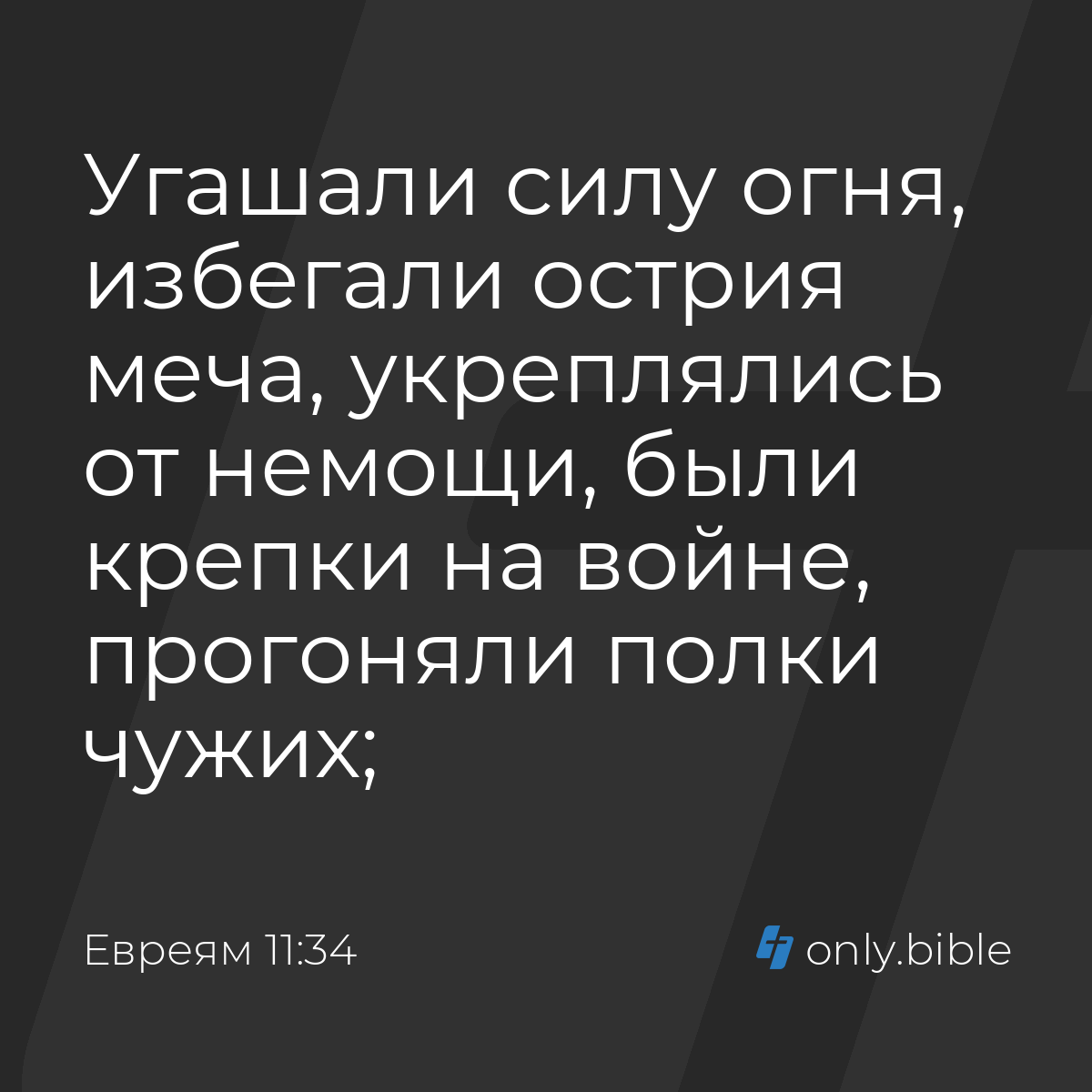 Евреям 11:34 / Русский синодальный перевод (Юбилейное издание) | Библия  Онлайн