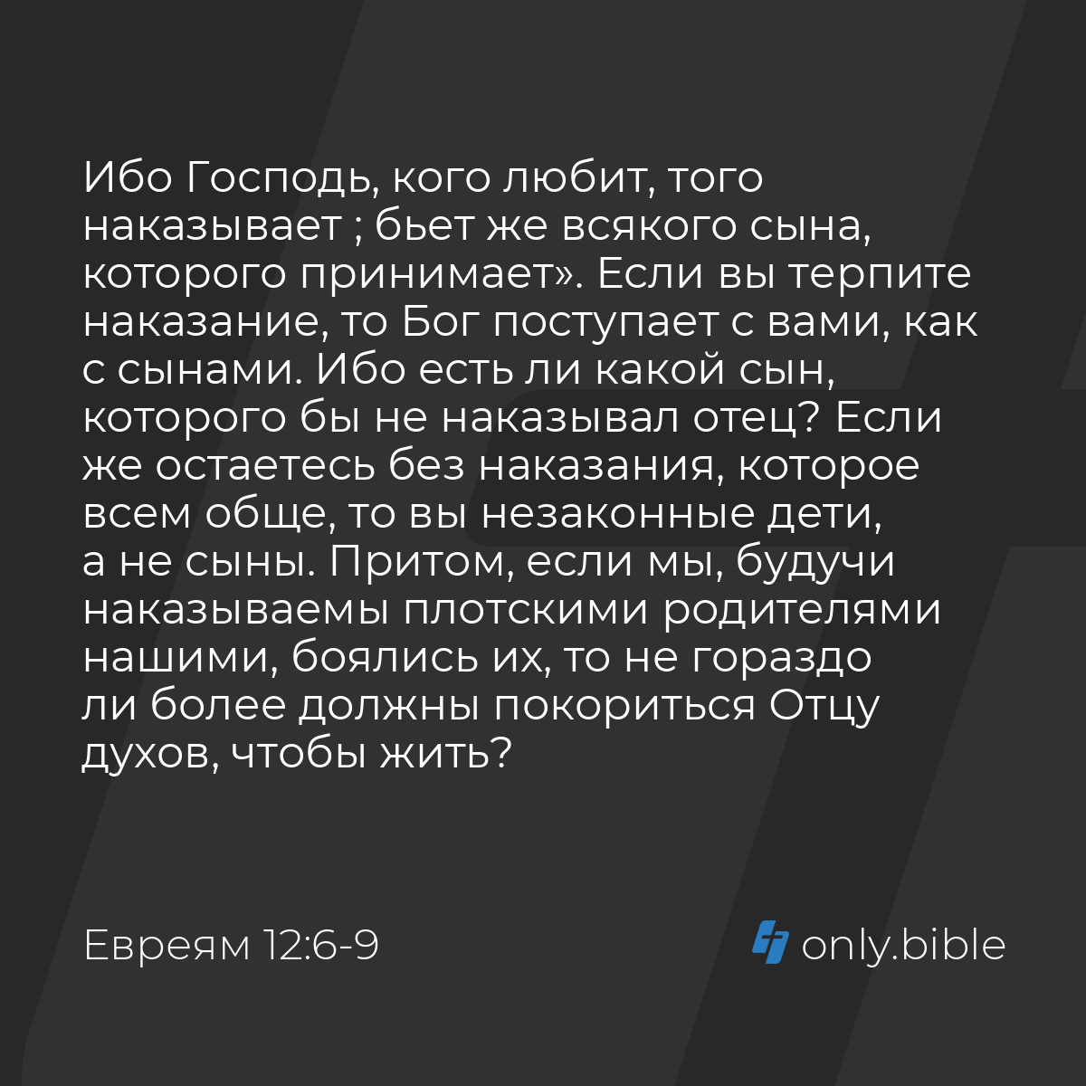 Евреям 12:6-14 / Русский синодальный перевод (Юбилейное издание) | Библия  Онлайн