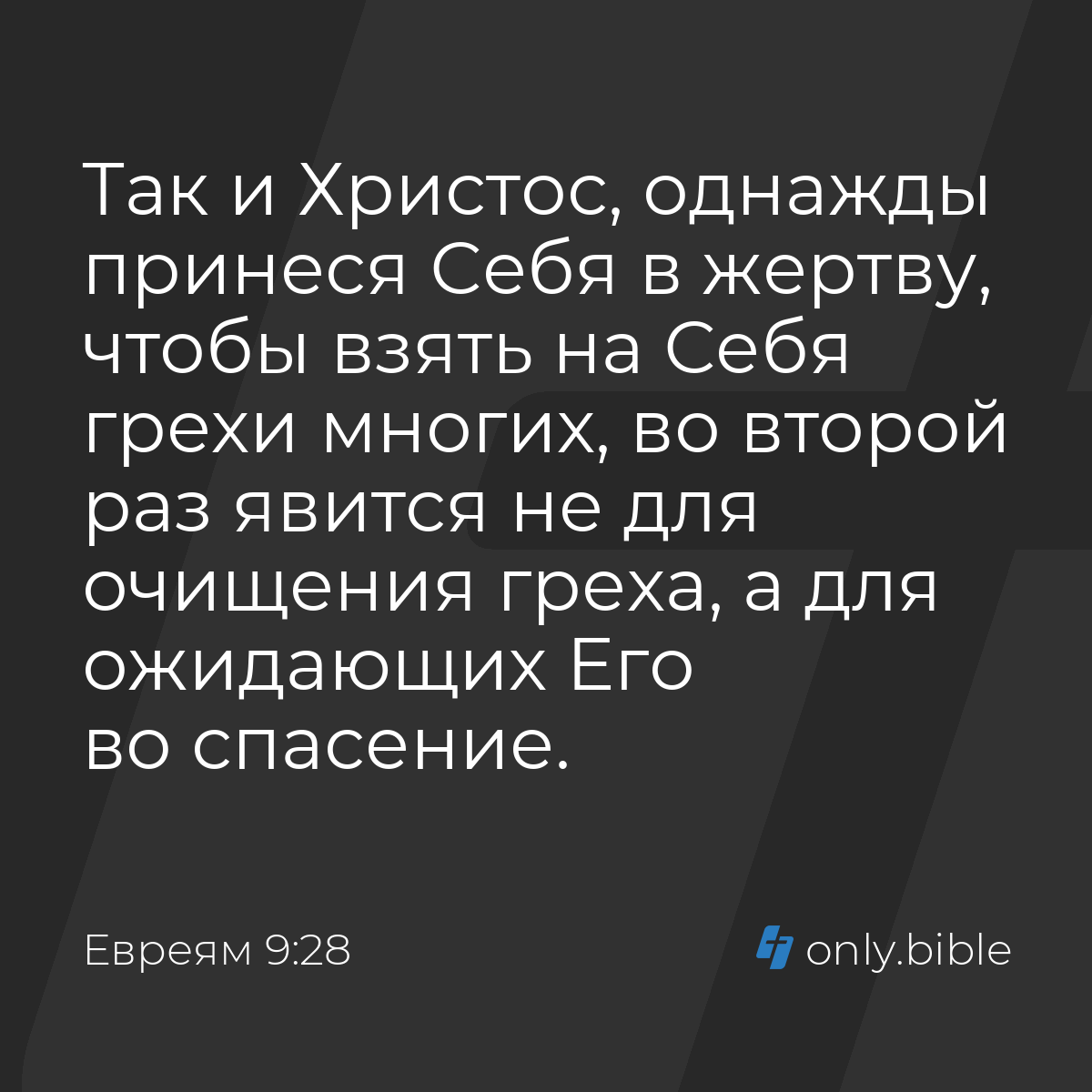 Евреям 9:28 / Русский синодальный перевод (Юбилейное издание) | Библия  Онлайн