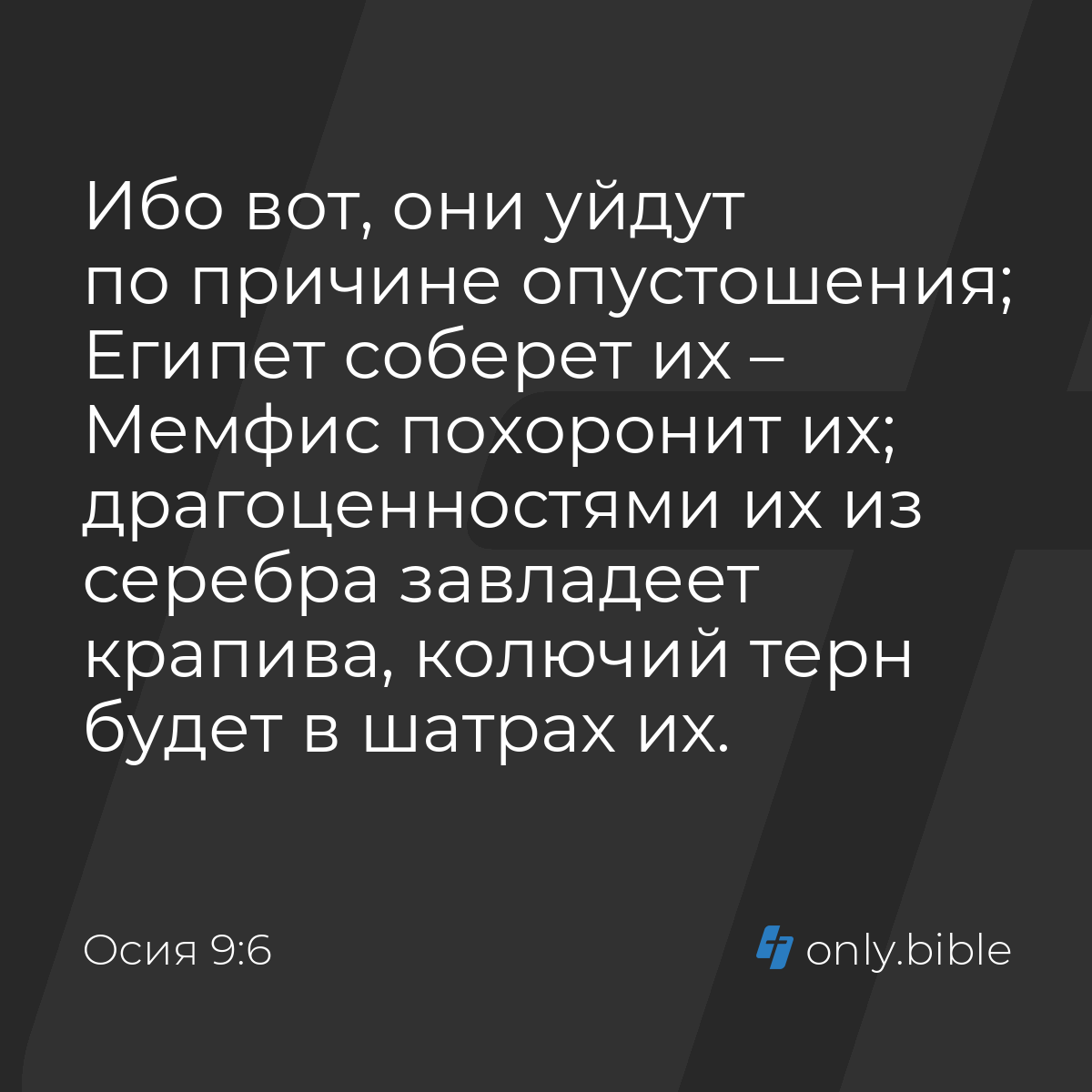 Осия 9:6 / Русский синодальный перевод (Юбилейное издание) | Библия Онлайн