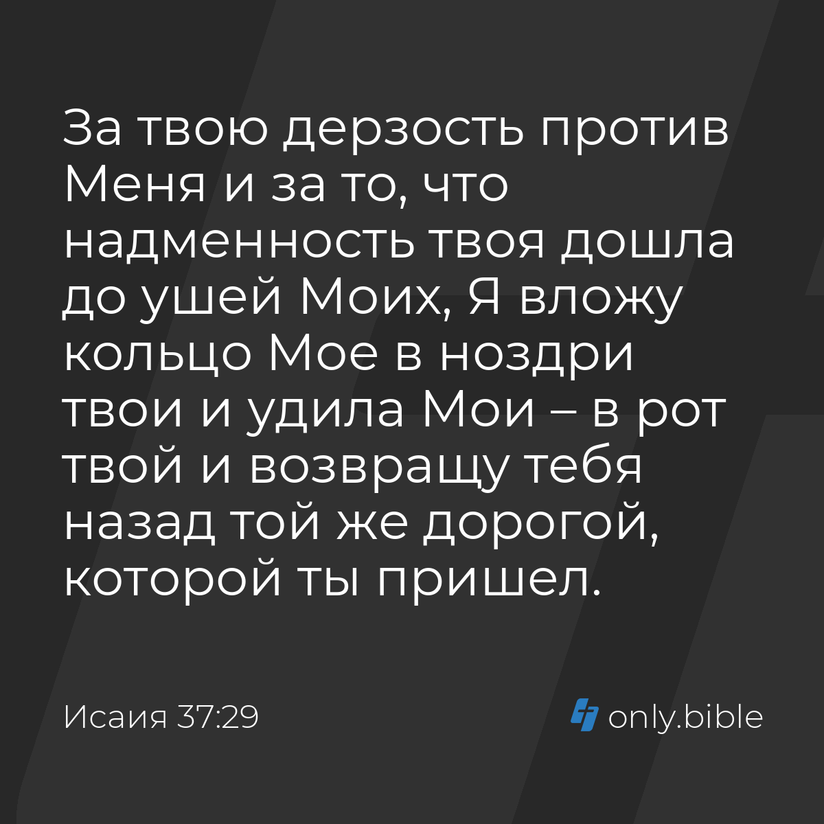 Исаия 37:29 / Русский синодальный перевод (Юбилейное издание) | Библия  Онлайн