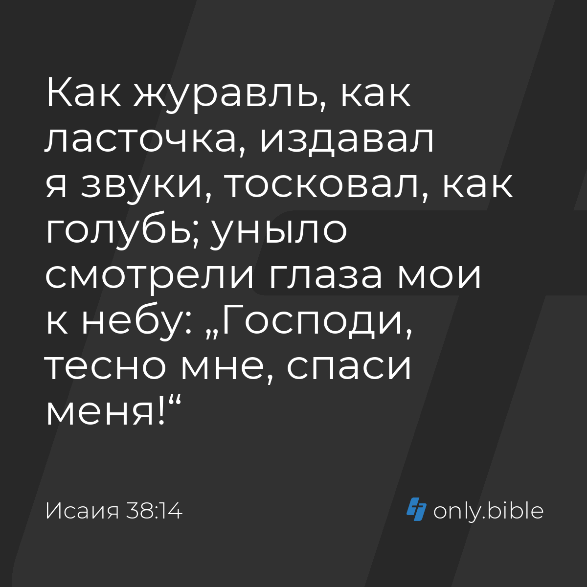 Исаия 38:14 / Русский синодальный перевод (Юбилейное издание) | Библия  Онлайн