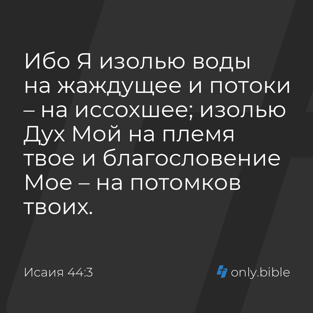 Исаия 44:3 / Русский синодальный перевод (Юбилейное издание) | Библия Онлайн