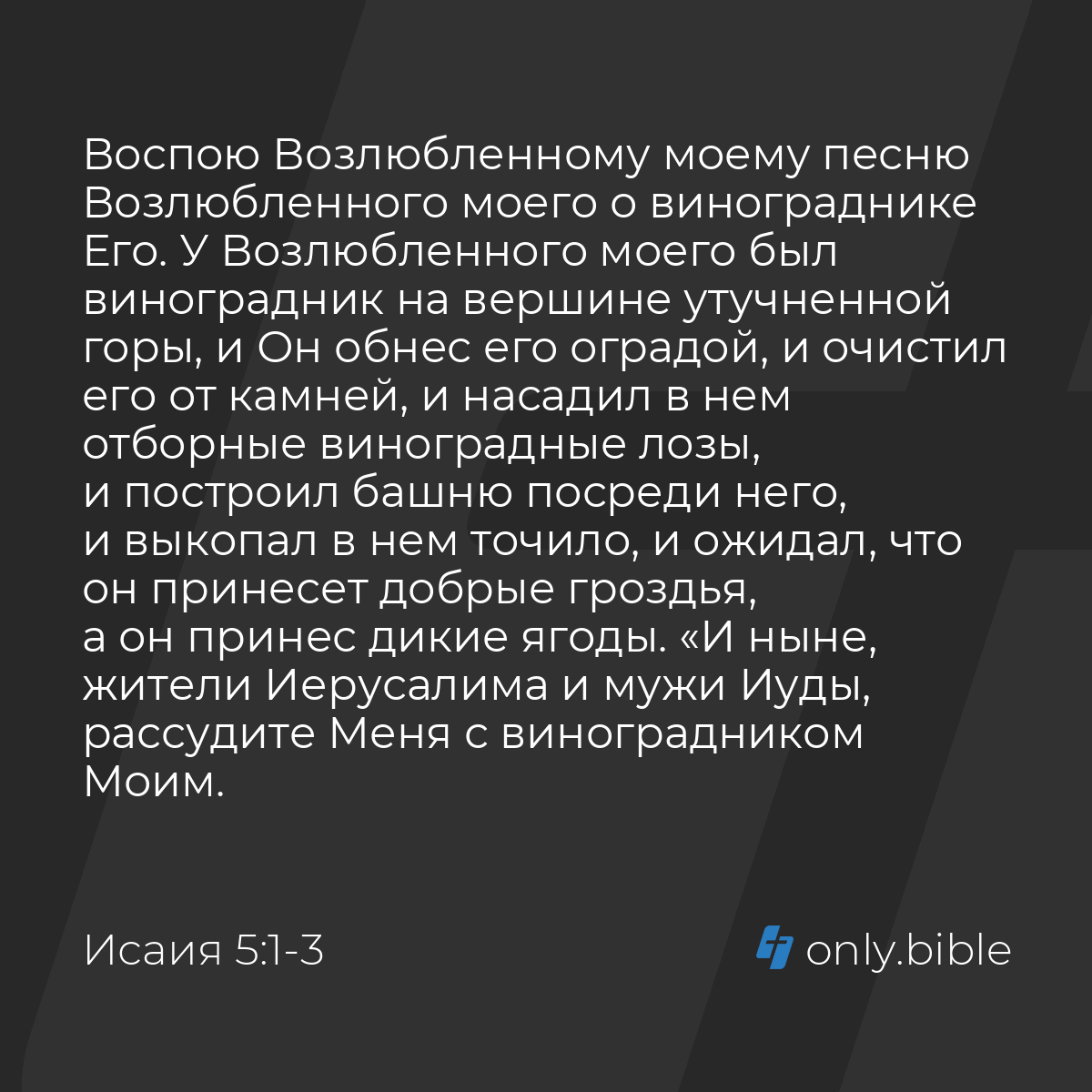 Исаия 5:1-7 / Русский синодальный перевод (Юбилейное издание) | Библия  Онлайн