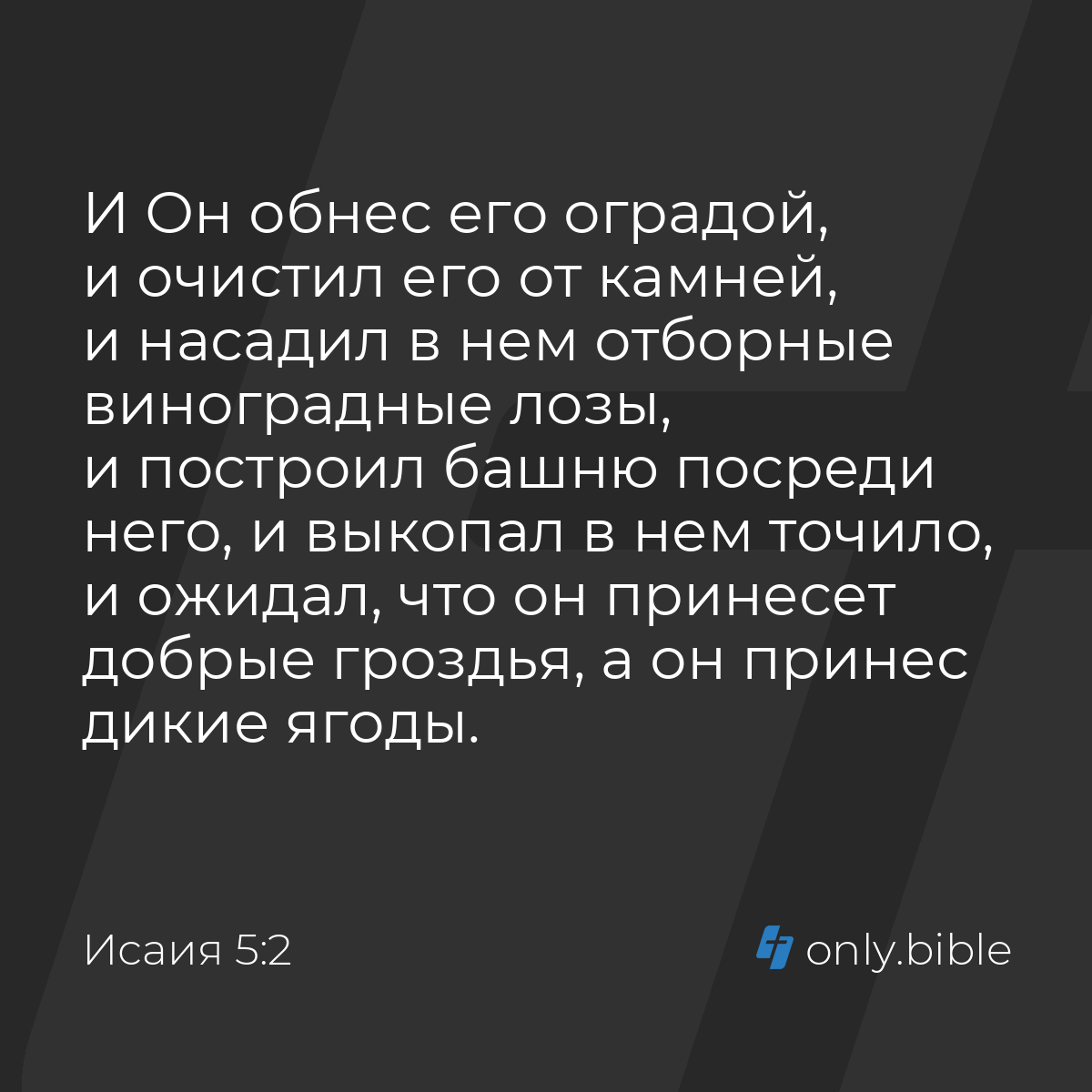 Исаия 5:2 / Русский синодальный перевод (Юбилейное издание) | Библия Онлайн