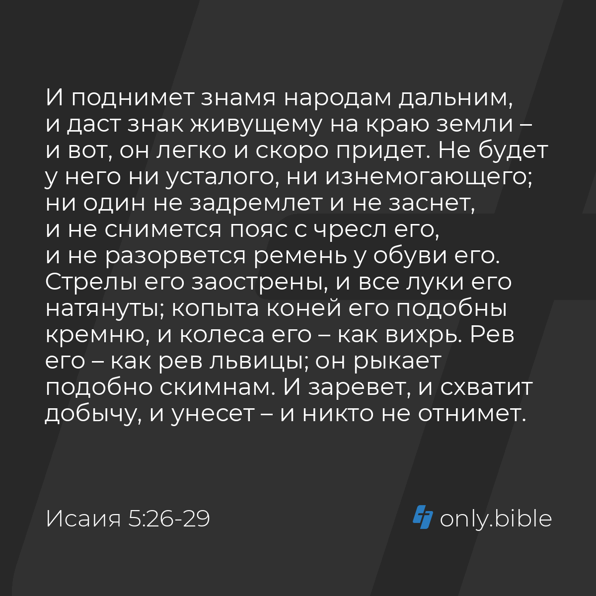 Исаия 5:26-29 / Русский синодальный перевод (Юбилейное издание) | Библия  Онлайн