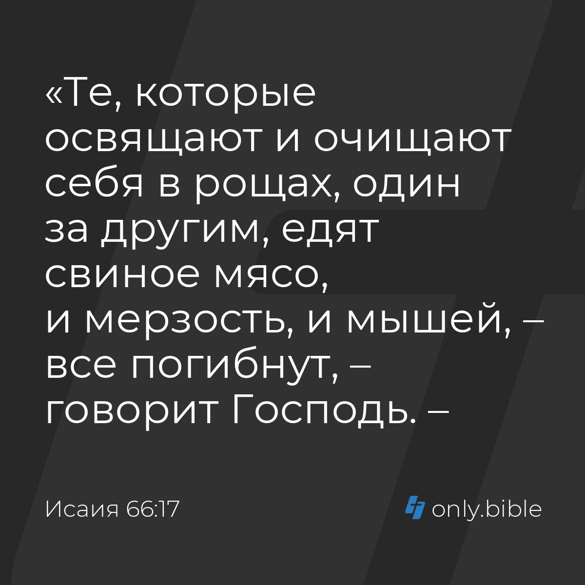 Исаия 66:17 / Русский синодальный перевод (Юбилейное издание) | Библия  Онлайн