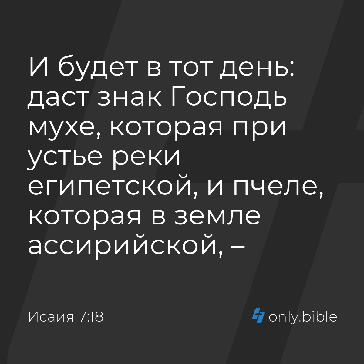 Исаия 7:18 / Русский синодальный перевод (Юбилейное издание) | Библия Онлайн