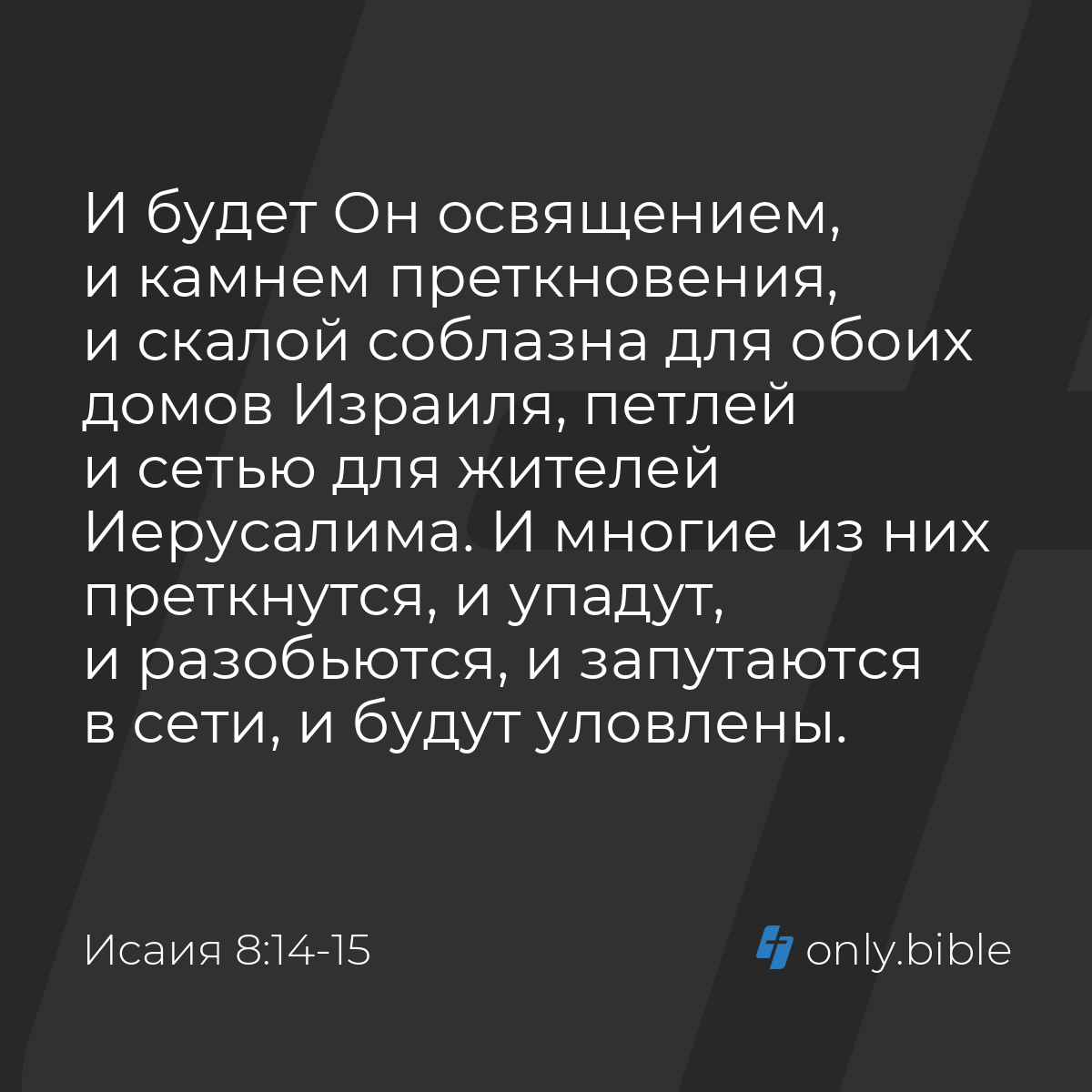 Исаия 8:14-15 / Русский синодальный перевод (Юбилейное издание) | Библия  Онлайн