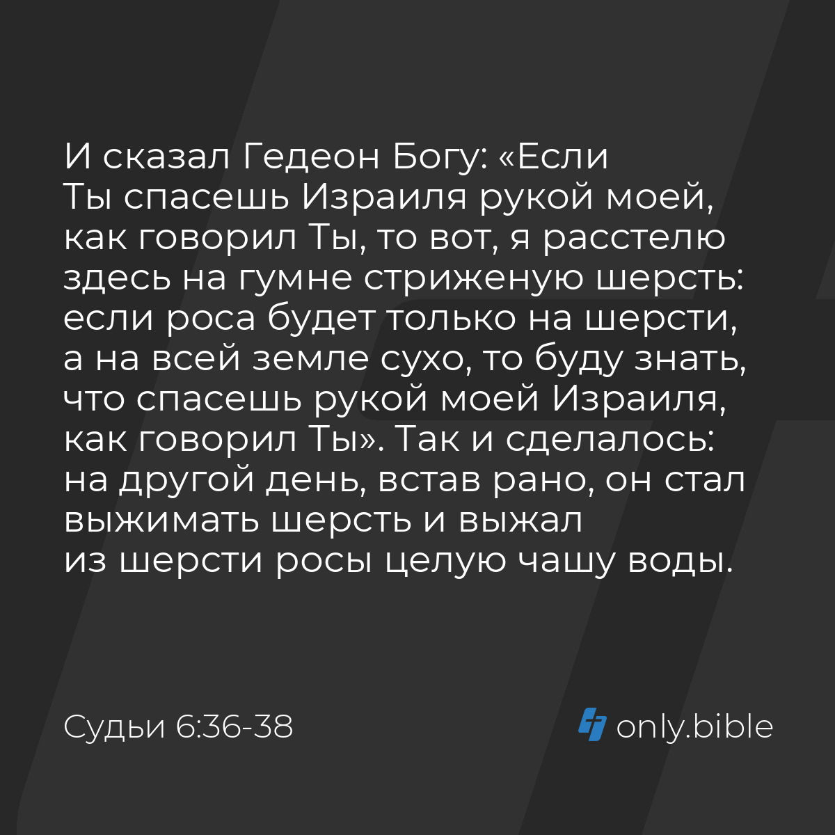 Судьи 6:36-40 / Русский синодальный перевод (Юбилейное издание) | Библия  Онлайн