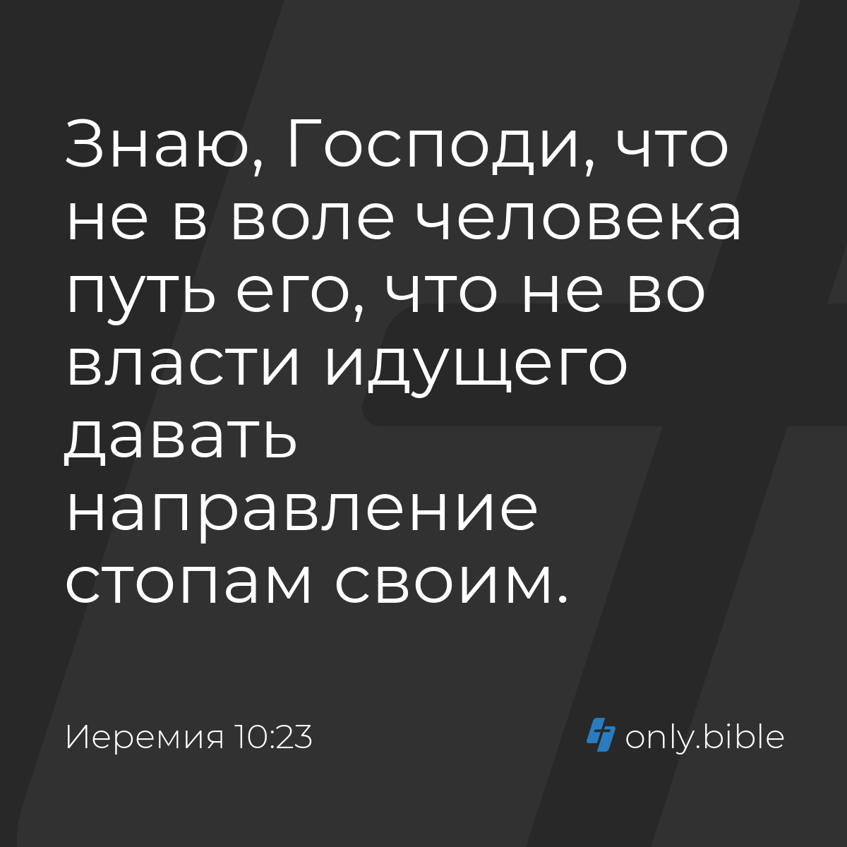 Иеремия 10:23 / Русский синодальный перевод (Юбилейное издание) | Библия  Онлайн