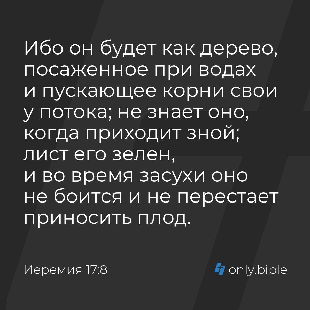 Иеремия 17:8 / Русский синодальный перевод (Юбилейное издание) | Библия  Онлайн