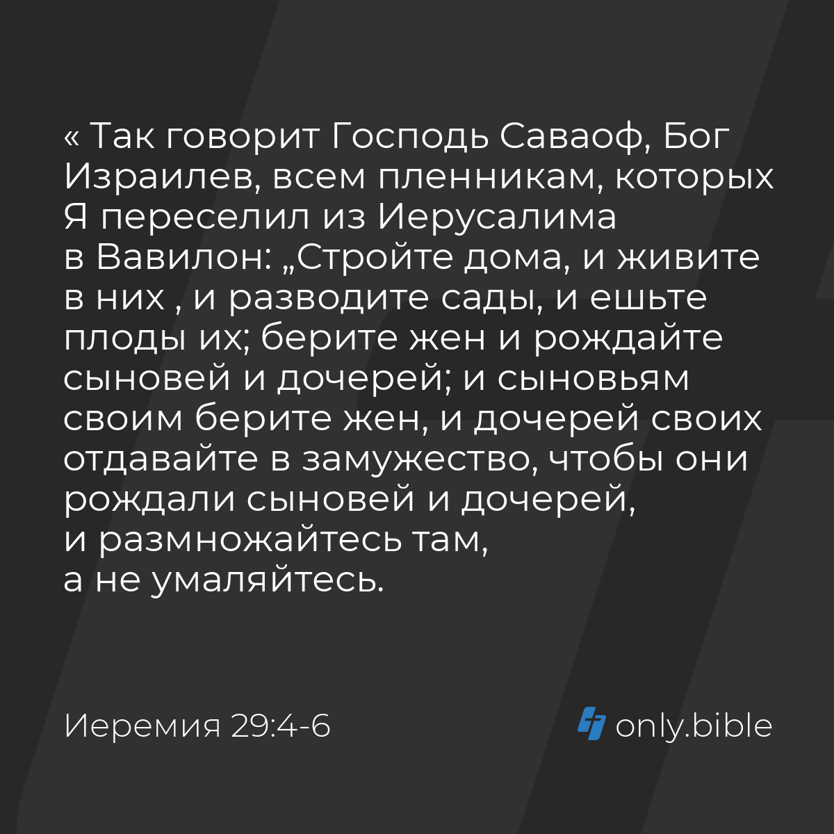 Иеремия 29:4-6 / Русский синодальный перевод (Юбилейное издание) | Библия  Онлайн