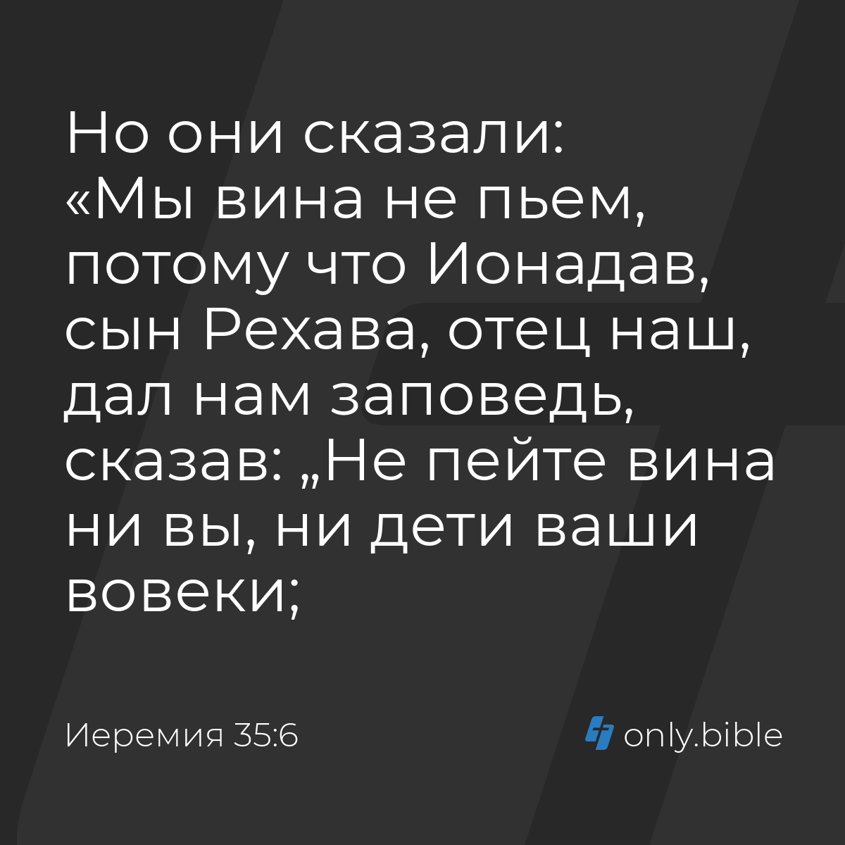 Иеремия 35:6 / Русский синодальный перевод (Юбилейное издание) | Библия  Онлайн