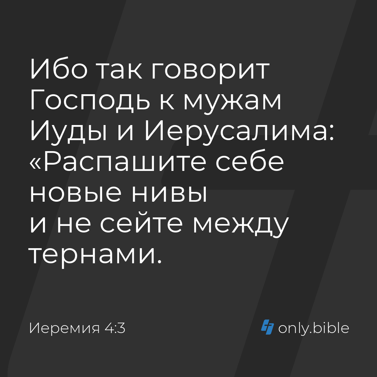 Иеремия 4:3 / Русский синодальный перевод (Юбилейное издание) | Библия  Онлайн