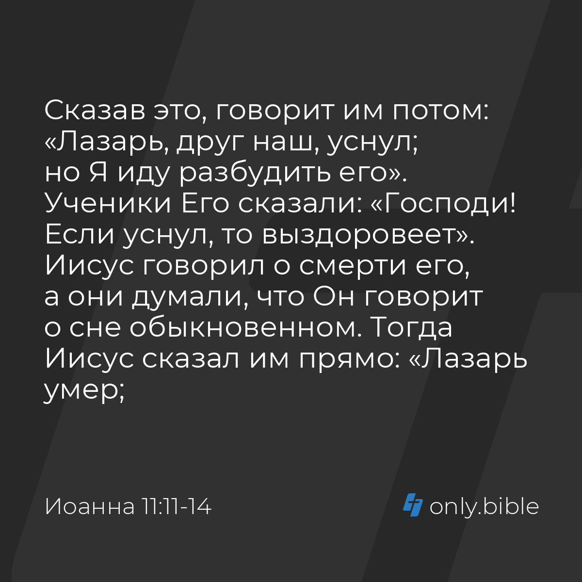 Иоанна 11:11-14 / Русский синодальный перевод (Юбилейное издание) | Библия  Онлайн