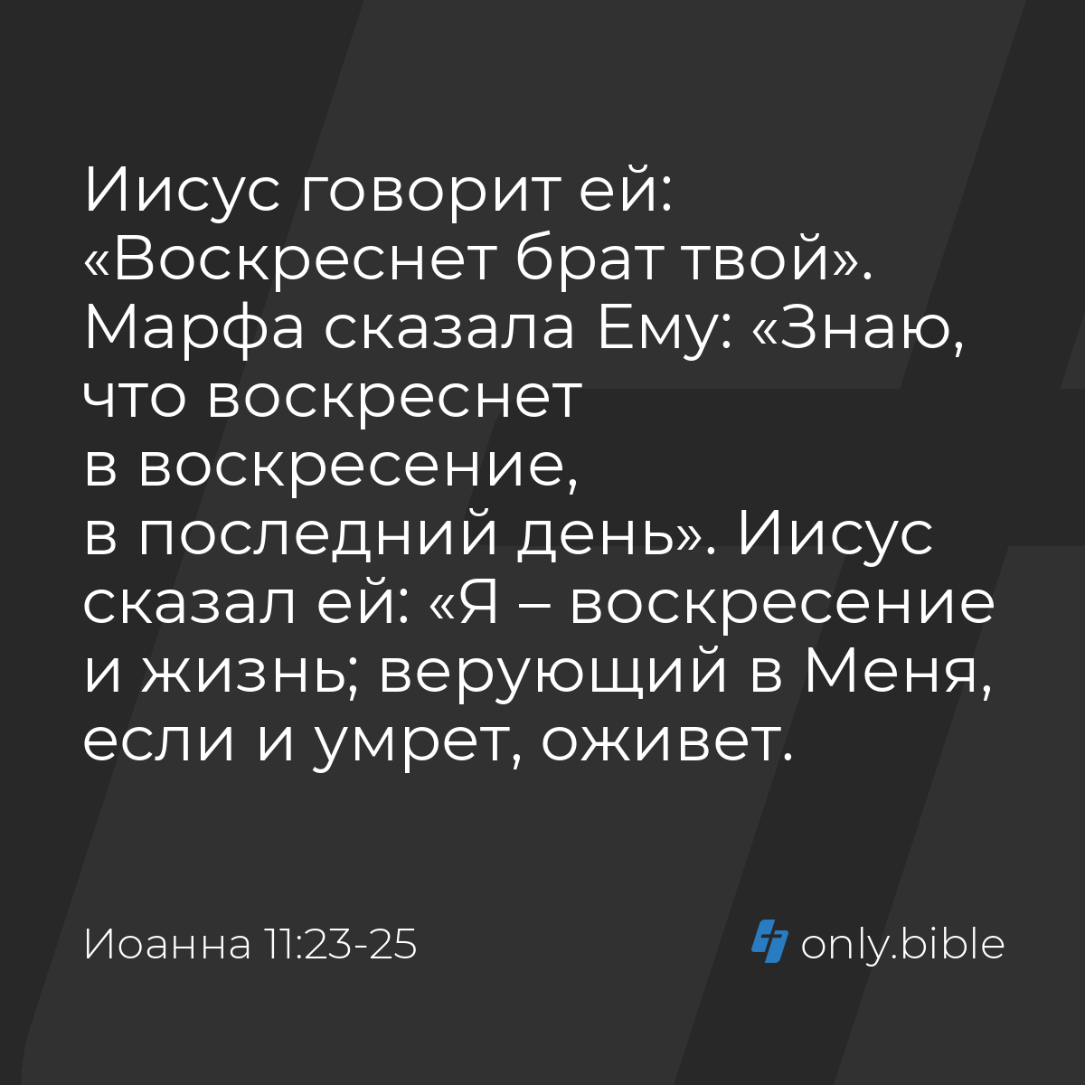 Иоанна 11:23-25 / Русский синодальный перевод (Юбилейное издание) | Библия  Онлайн