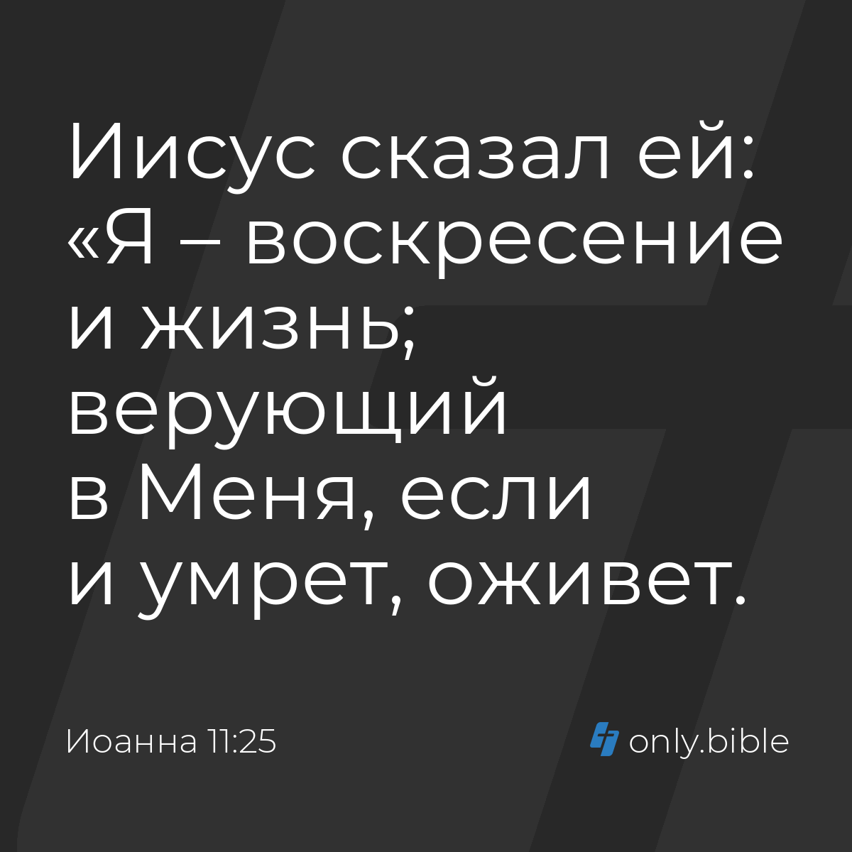 Иоанна 11:25 / Русский синодальный перевод (Юбилейное издание) | Библия  Онлайн