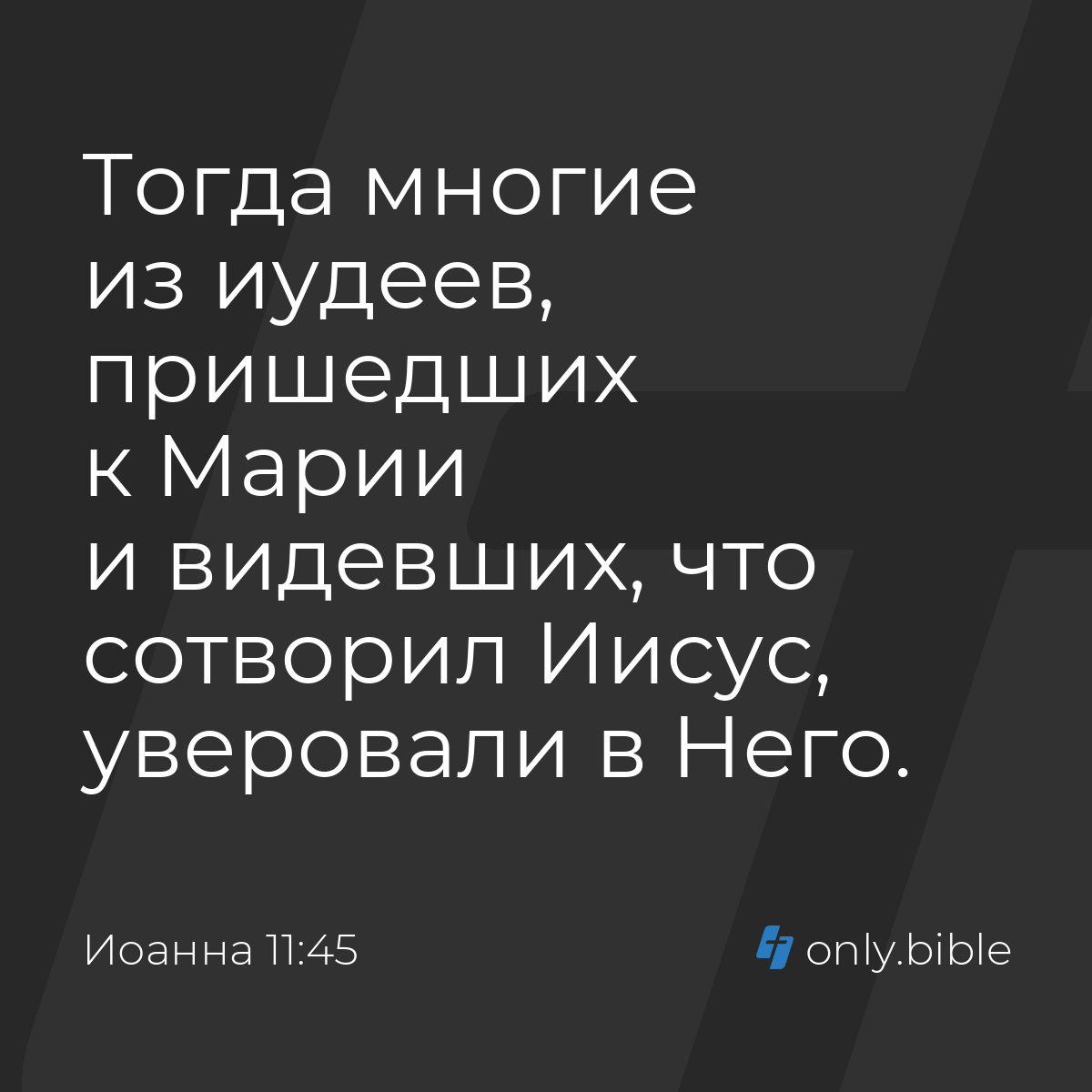 Иоанна 11:45 / Русский синодальный перевод (Юбилейное издание) | Библия  Онлайн