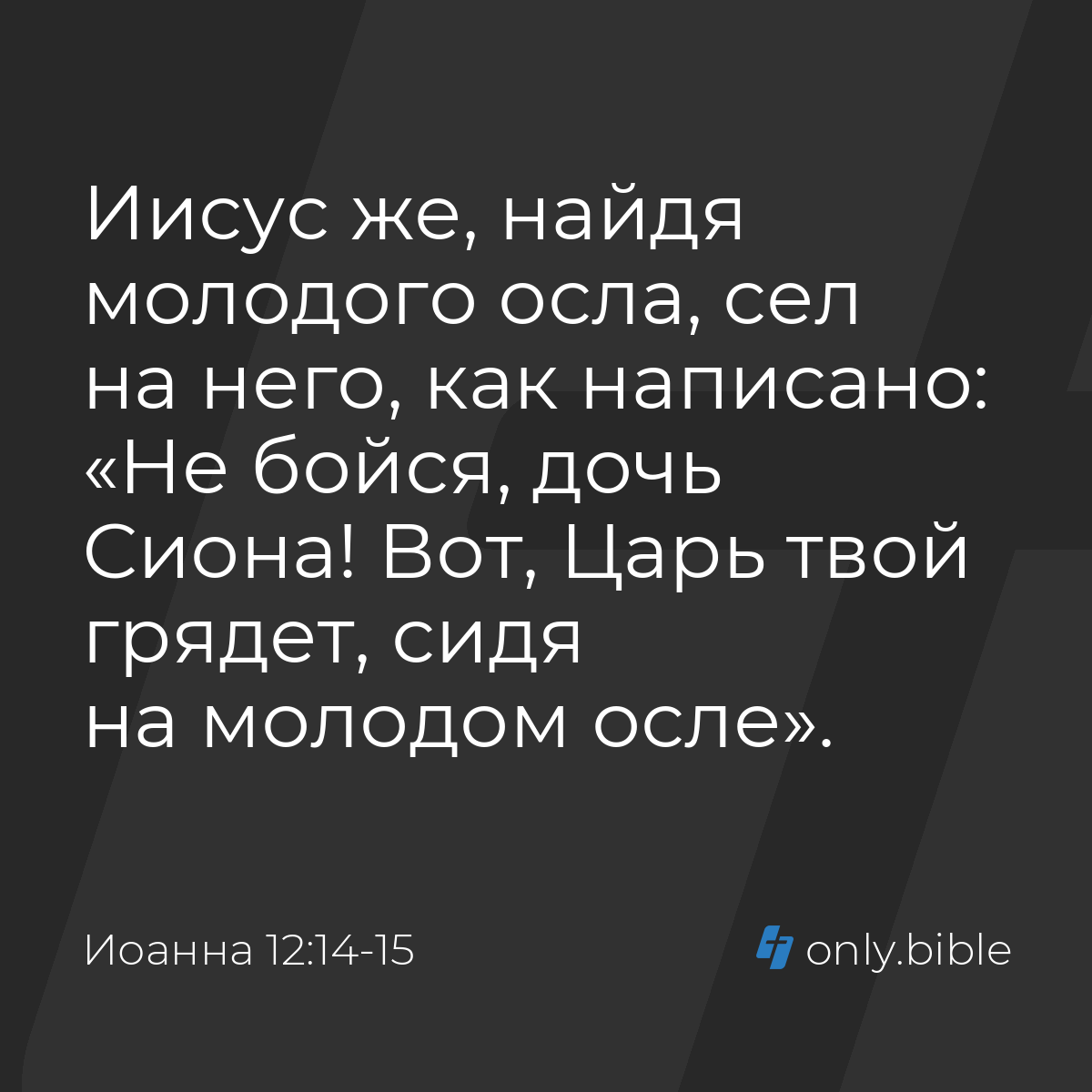 Иоанна 12:14-15 / Русский синодальный перевод (Юбилейное издание) | Библия  Онлайн