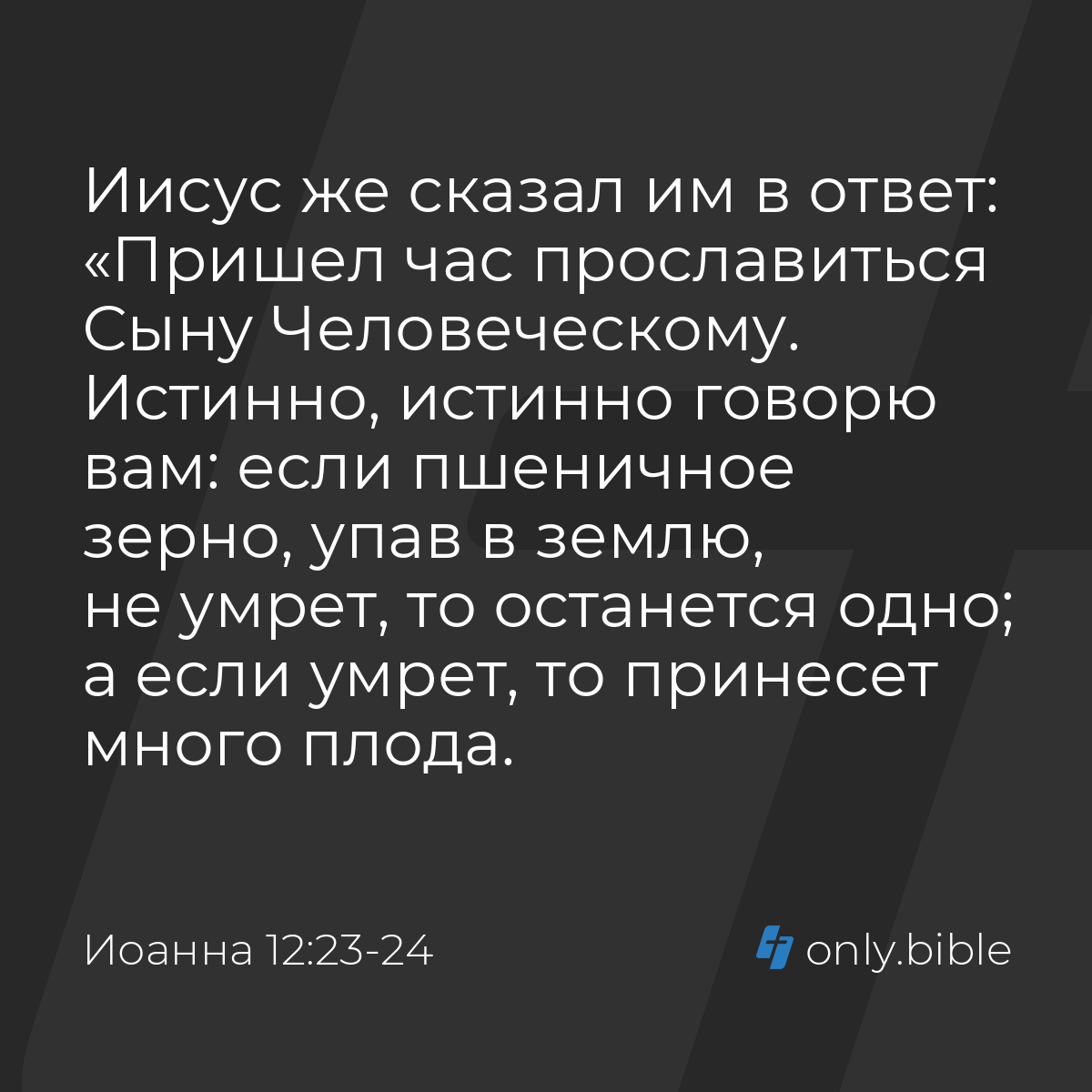 Иоанна 12:23-24 / Русский синодальный перевод (Юбилейное издание) | Библия  Онлайн