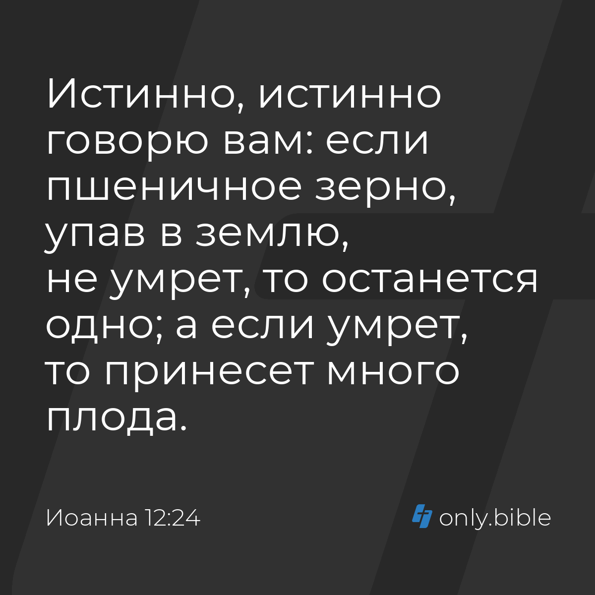 Иоанна 12:24 / Русский синодальный перевод (Юбилейное издание) | Библия  Онлайн