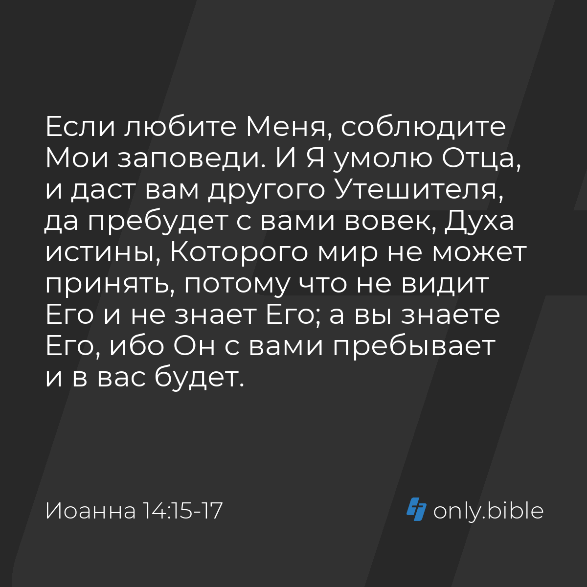 Иоанна 14:15-17 / Русский синодальный перевод (Юбилейное издание) | Библия  Онлайн