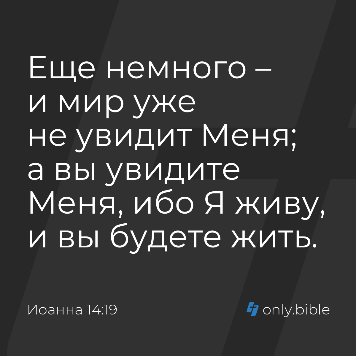 Иоанна 14:19 / Русский синодальный перевод (Юбилейное издание) | Библия  Онлайн