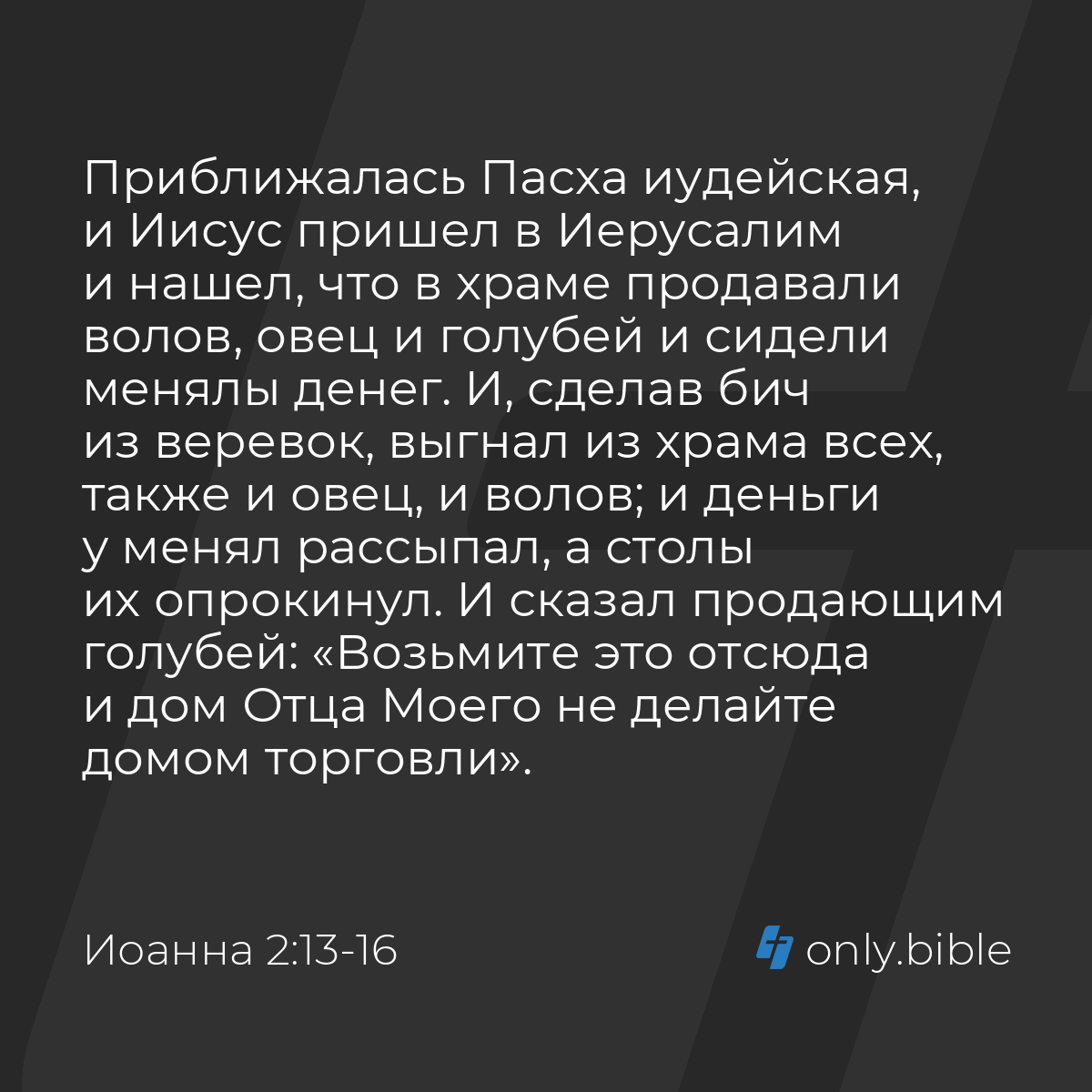 Иоанна 2:13-16 / Русский синодальный перевод (Юбилейное издание) | Библия  Онлайн