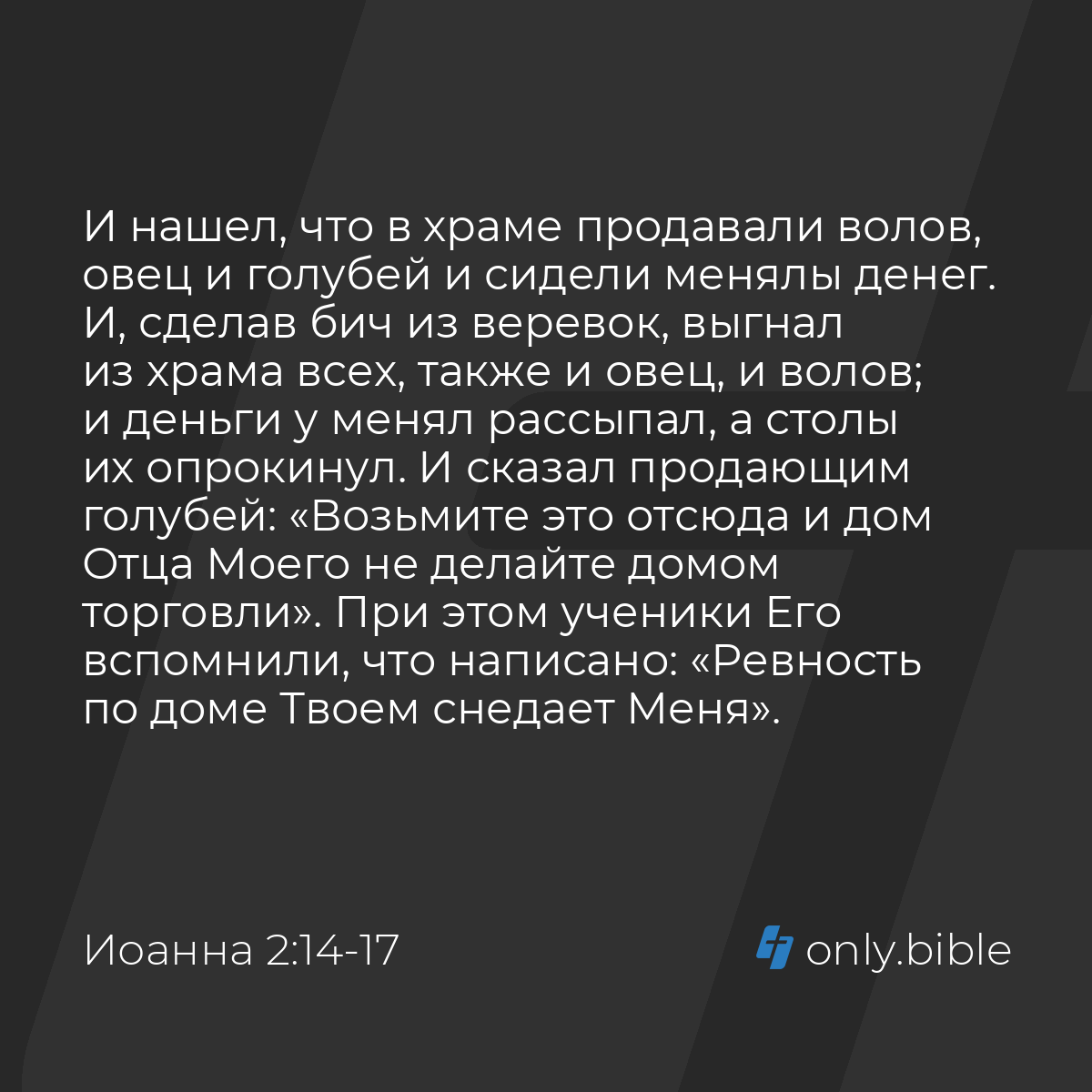 Иоанна 2:14-17 / Русский синодальный перевод (Юбилейное издание) | Библия  Онлайн