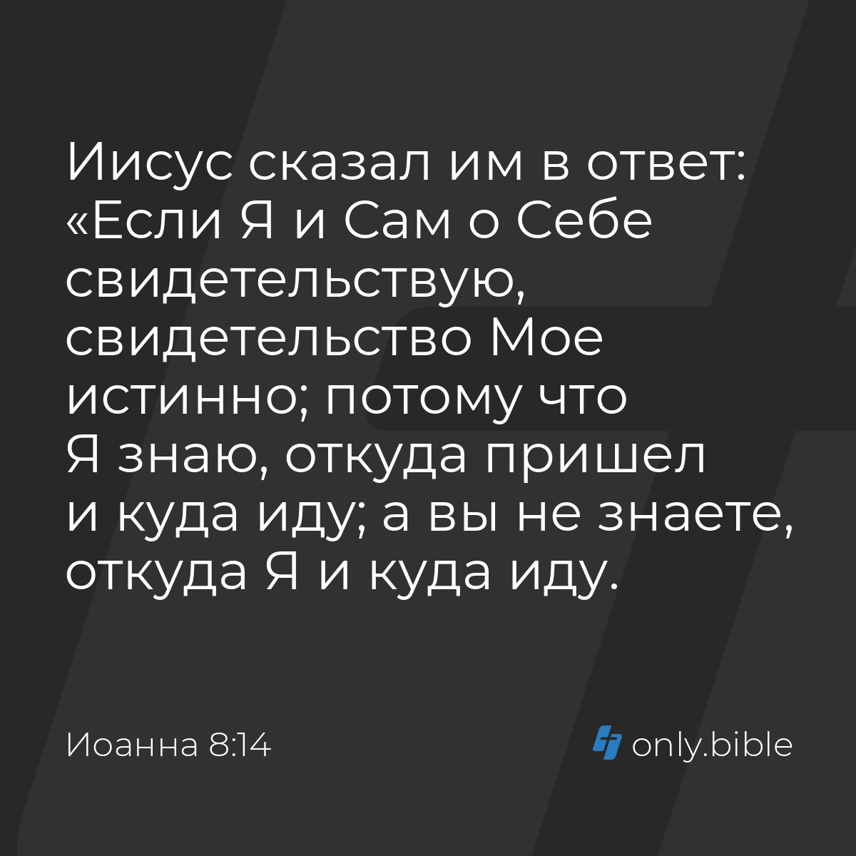 Иоанна 8:14 / Русский синодальный перевод (Юбилейное издание) | Библия  Онлайн