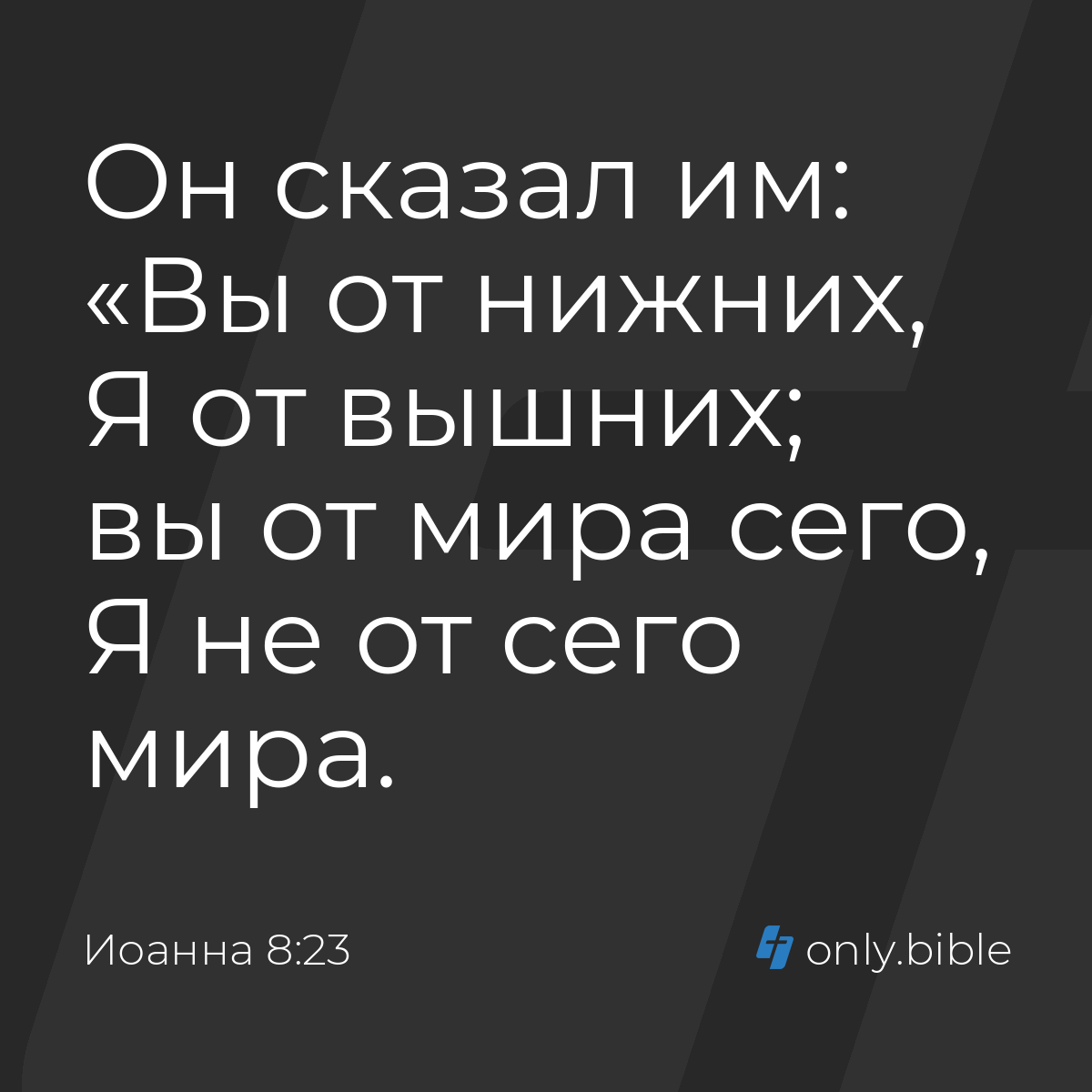 Иоанна 8:23 / Русский синодальный перевод (Юбилейное издание) | Библия  Онлайн