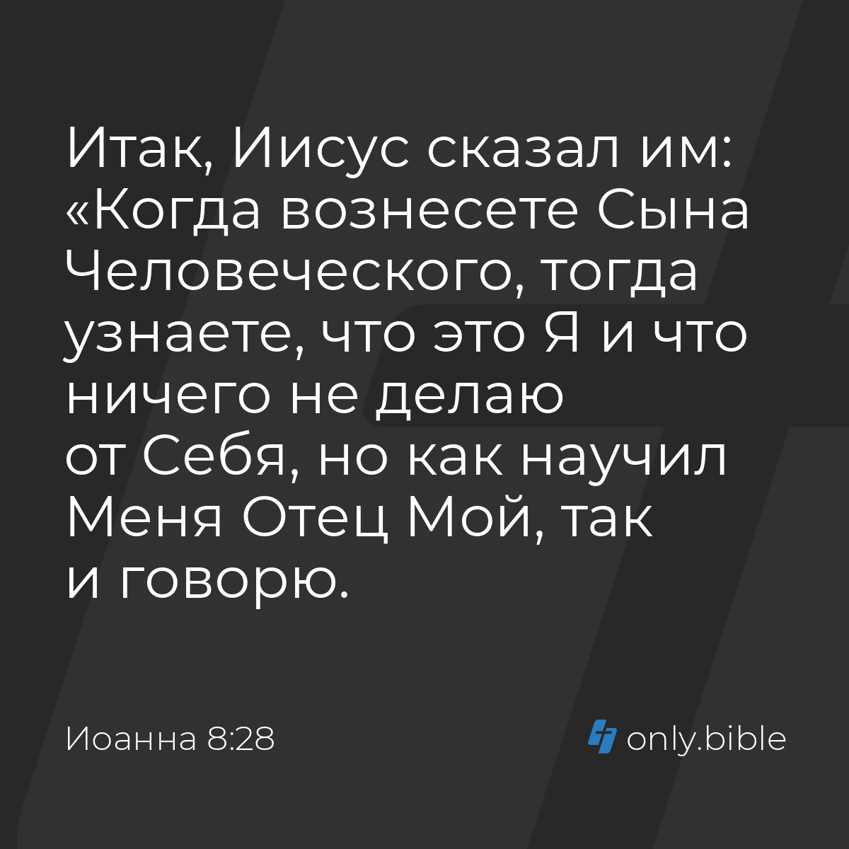 Иоанна 8:28 / Русский синодальный перевод (Юбилейное издание) | Библия  Онлайн