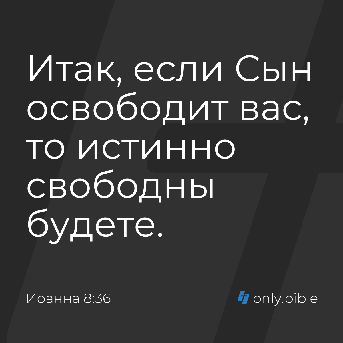 Иоанна 8:36 / Русский синодальный перевод (Юбилейное издание) | Библия  Онлайн