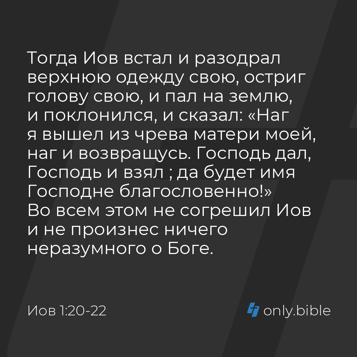 Читать онлайн «Властный король», Иден О'Нилл – ЛитРес