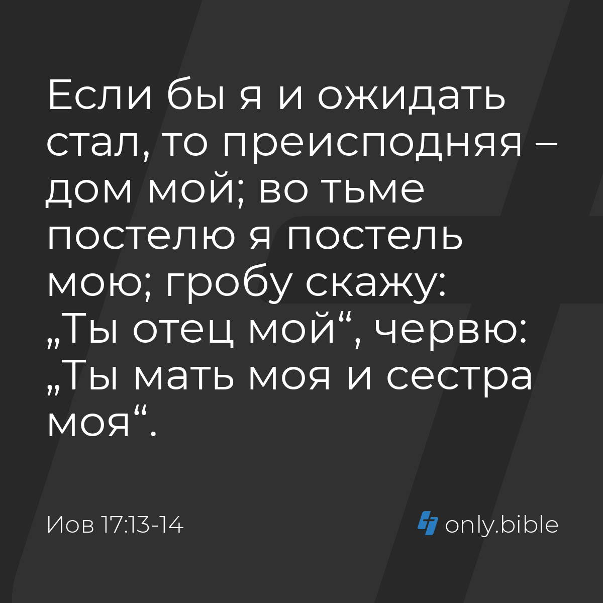 Иов 17:13-14 / Русский синодальный перевод (Юбилейное издание) | Библия  Онлайн