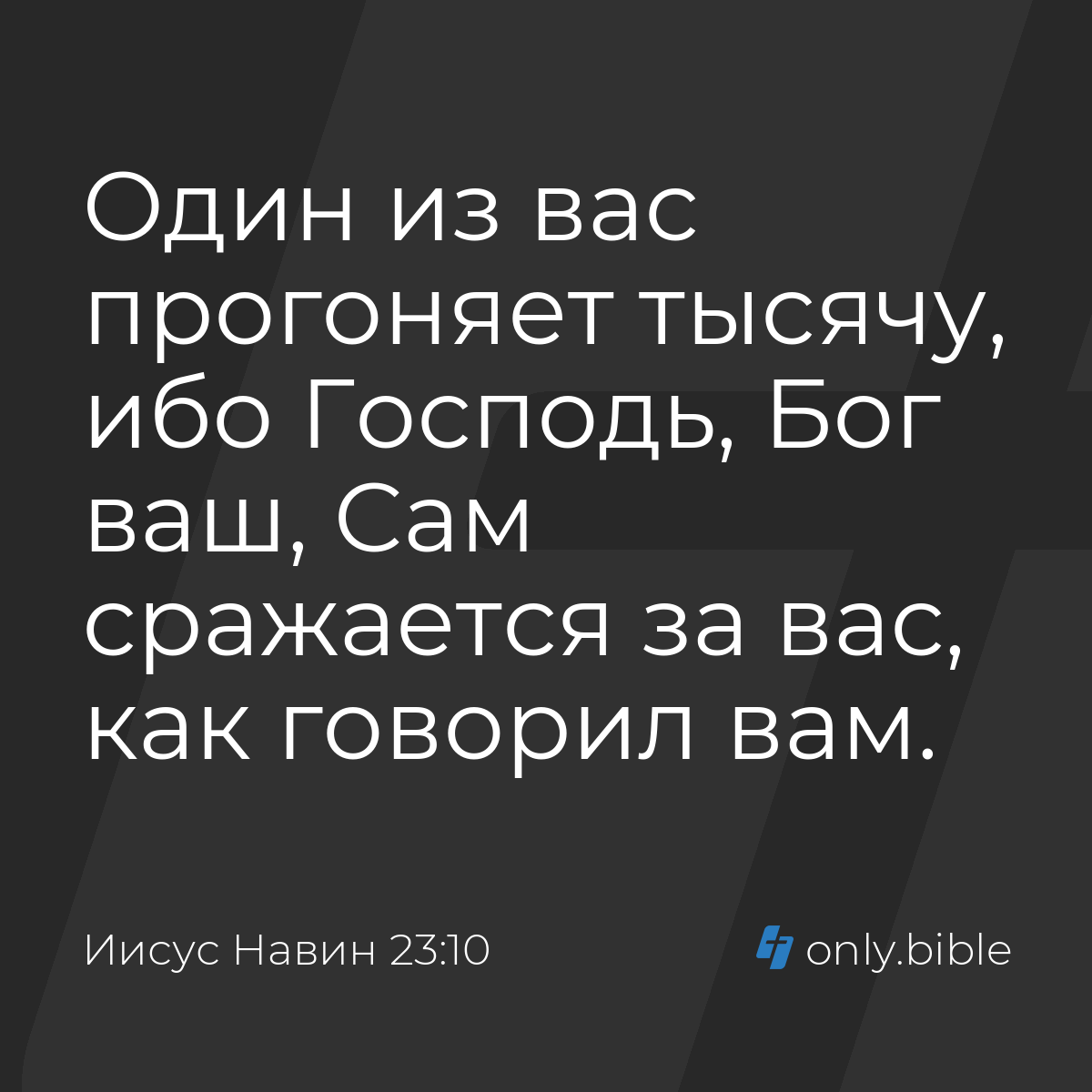 Иисус Навин 23:10 / Русский синодальный перевод (Юбилейное издание) |  Библия Онлайн