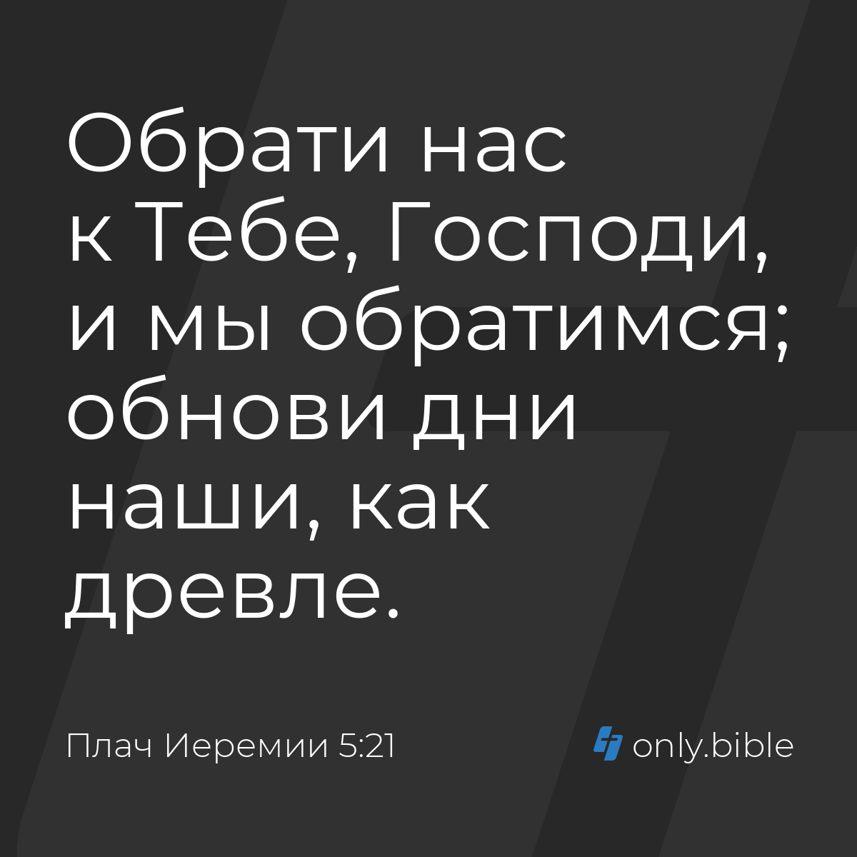 Плач Иеремии 5:21 / Русский синодальный перевод (Юбилейное издание) |  Библия Онлайн