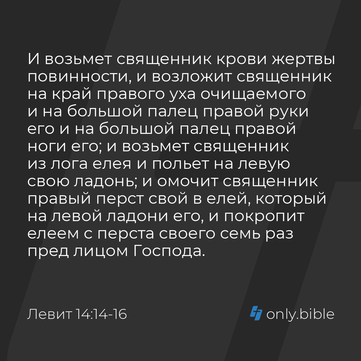 Левит 14:14-18 / Русский синодальный перевод (Юбилейное издание) | Библия  Онлайн