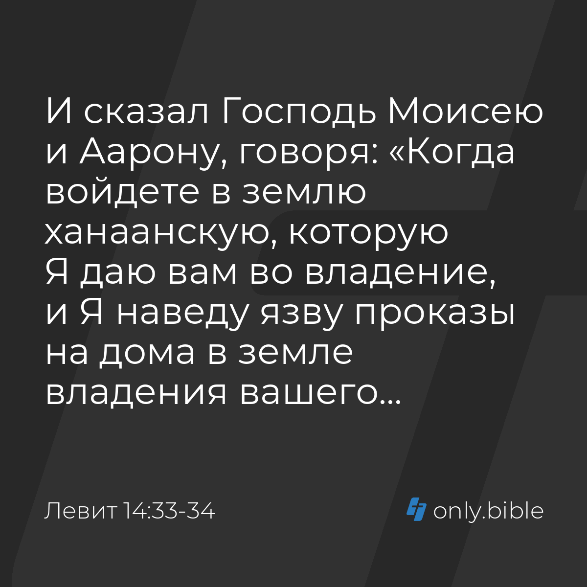 Левит 14:33-34 / Русский синодальный перевод (Юбилейное издание) | Библия  Онлайн