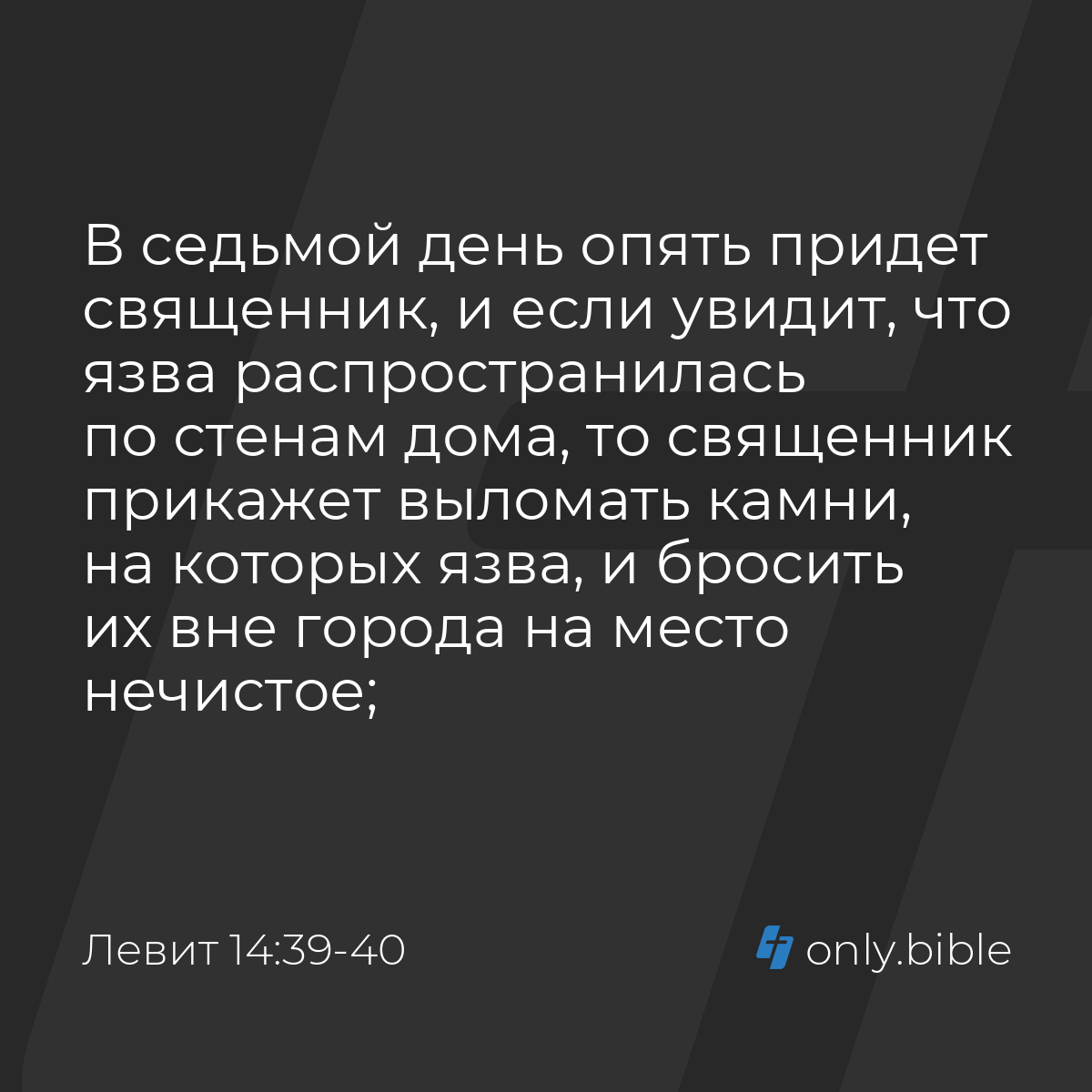 Левит 14:39-40 / Русский синодальный перевод (Юбилейное издание) | Библия  Онлайн